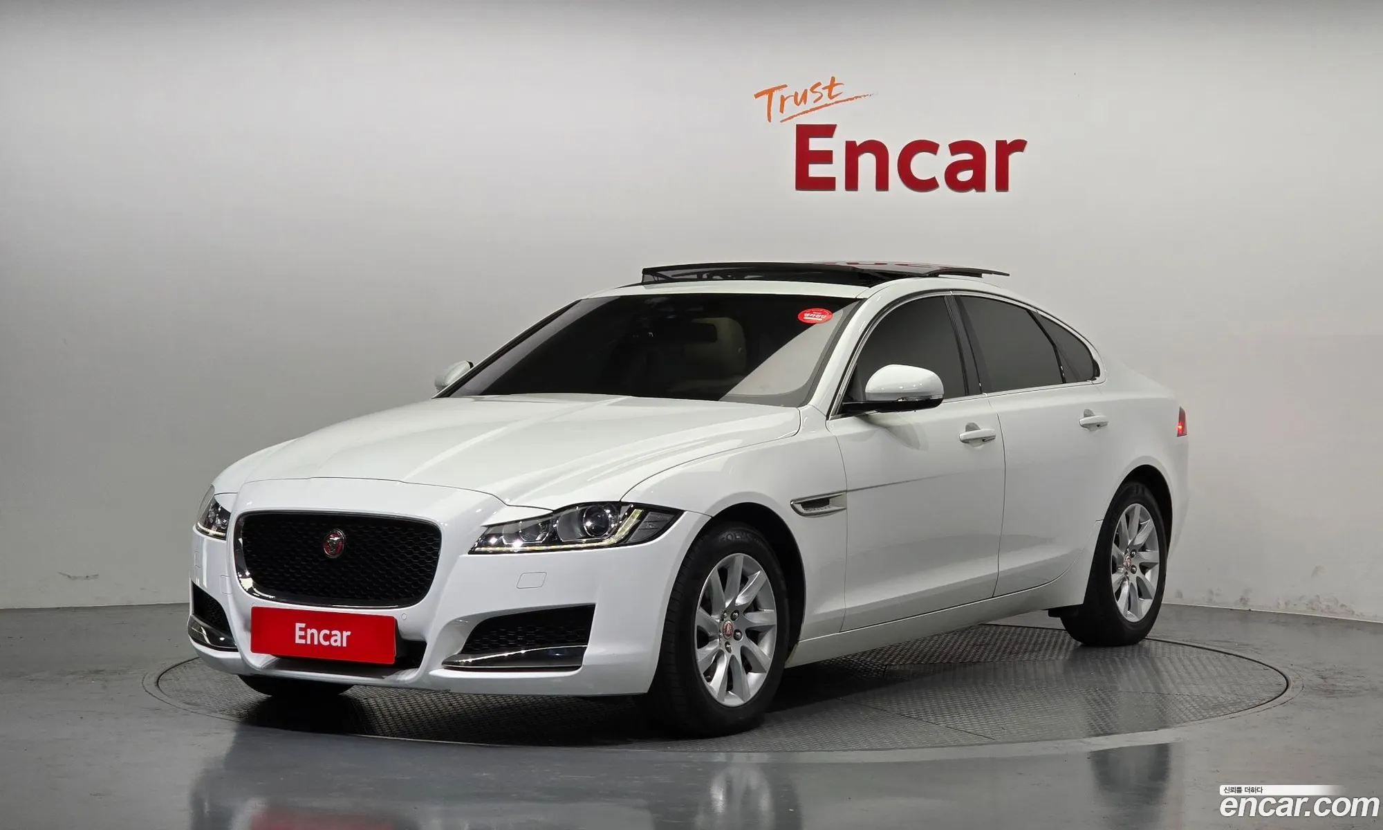 Xf X260 20D Prestige Awd - фотография 3525480