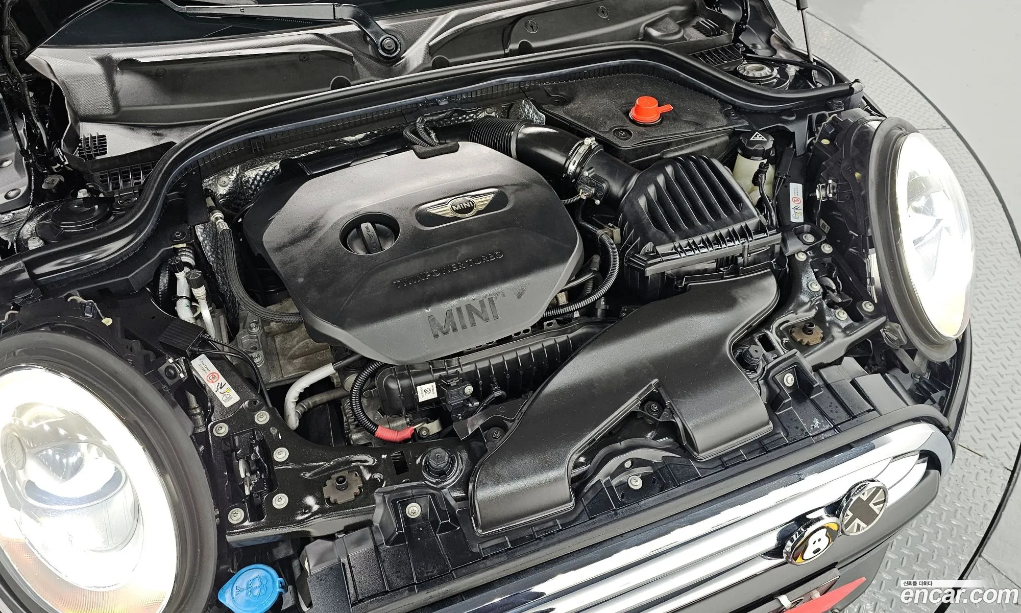 Korex Auto Trade - фотография 4498148