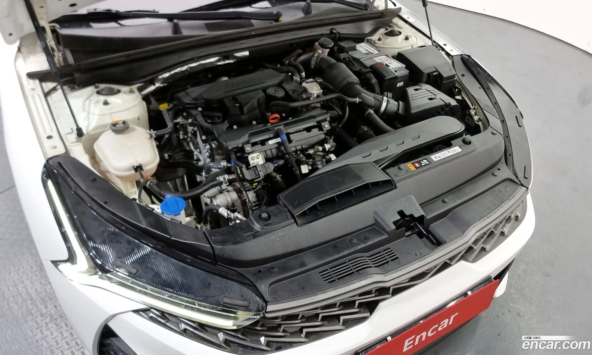 Korex Auto Trade - фотография 13796969
