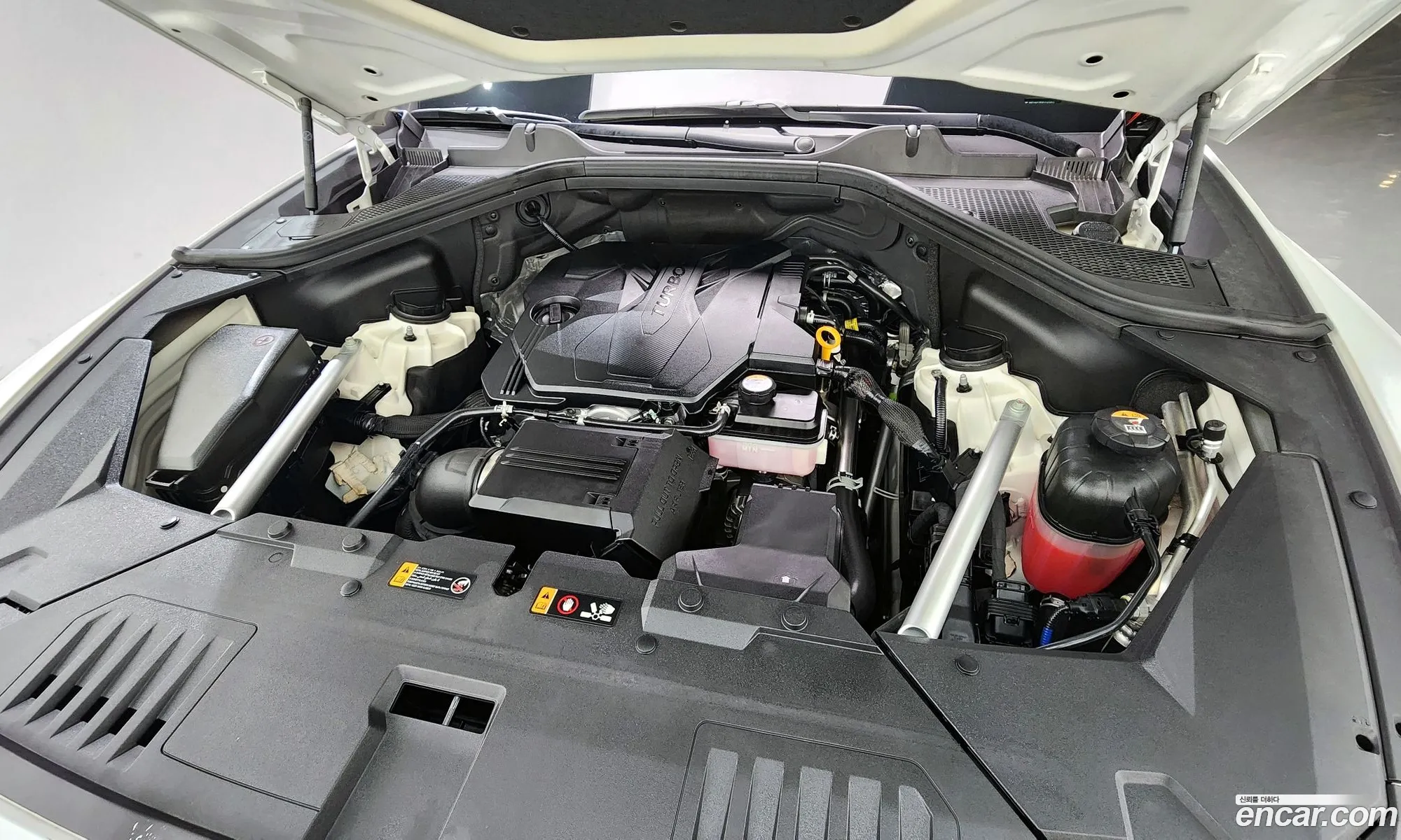 Korex Auto Trade - фотография 12752904