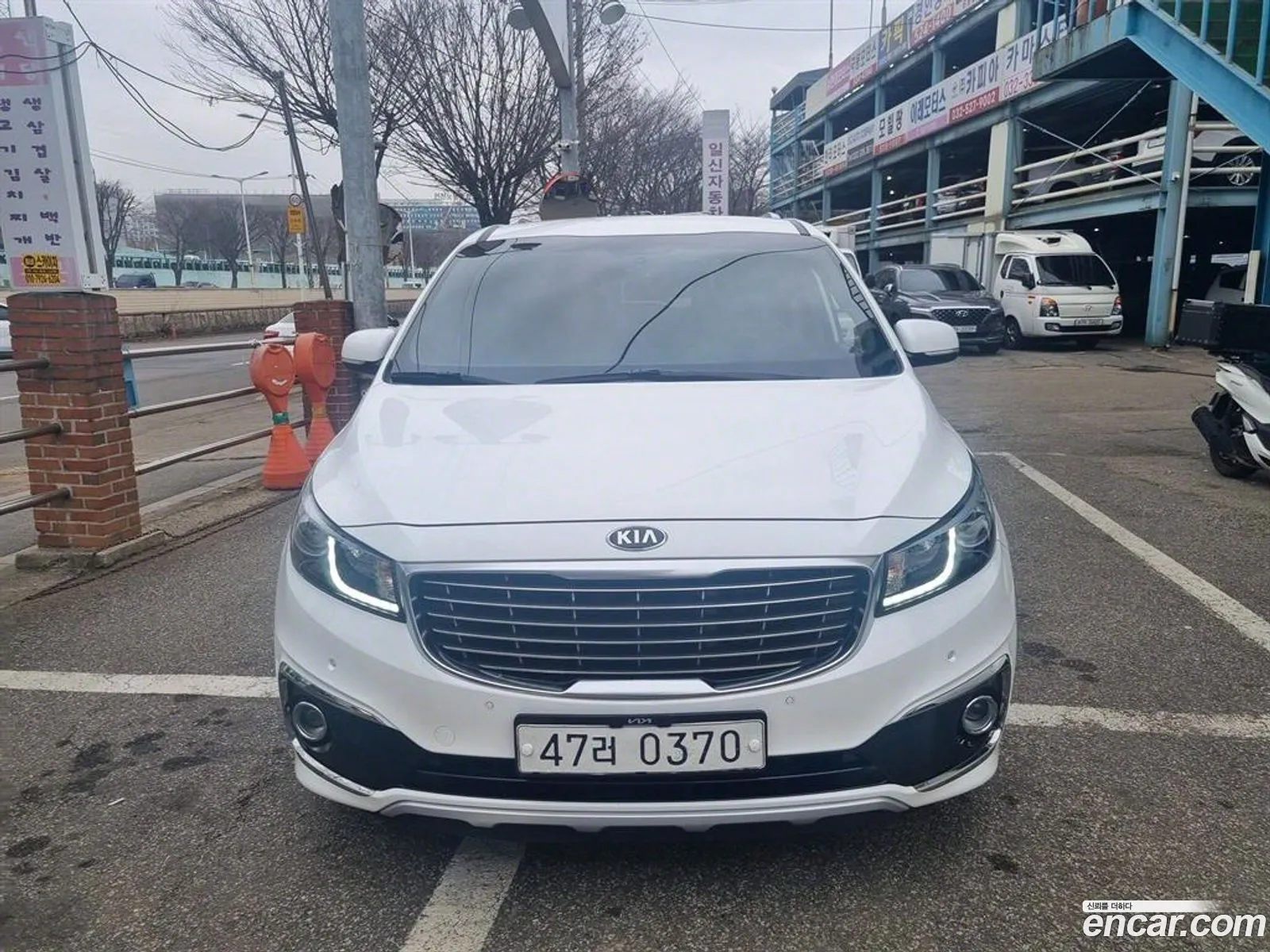 All New Carnival 9 -Seater Luxury - фотография 17175133