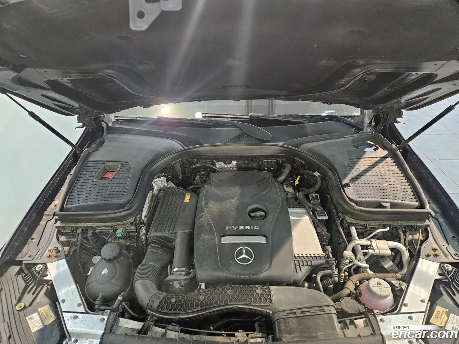 Korex Auto Trade - фотография 11397046