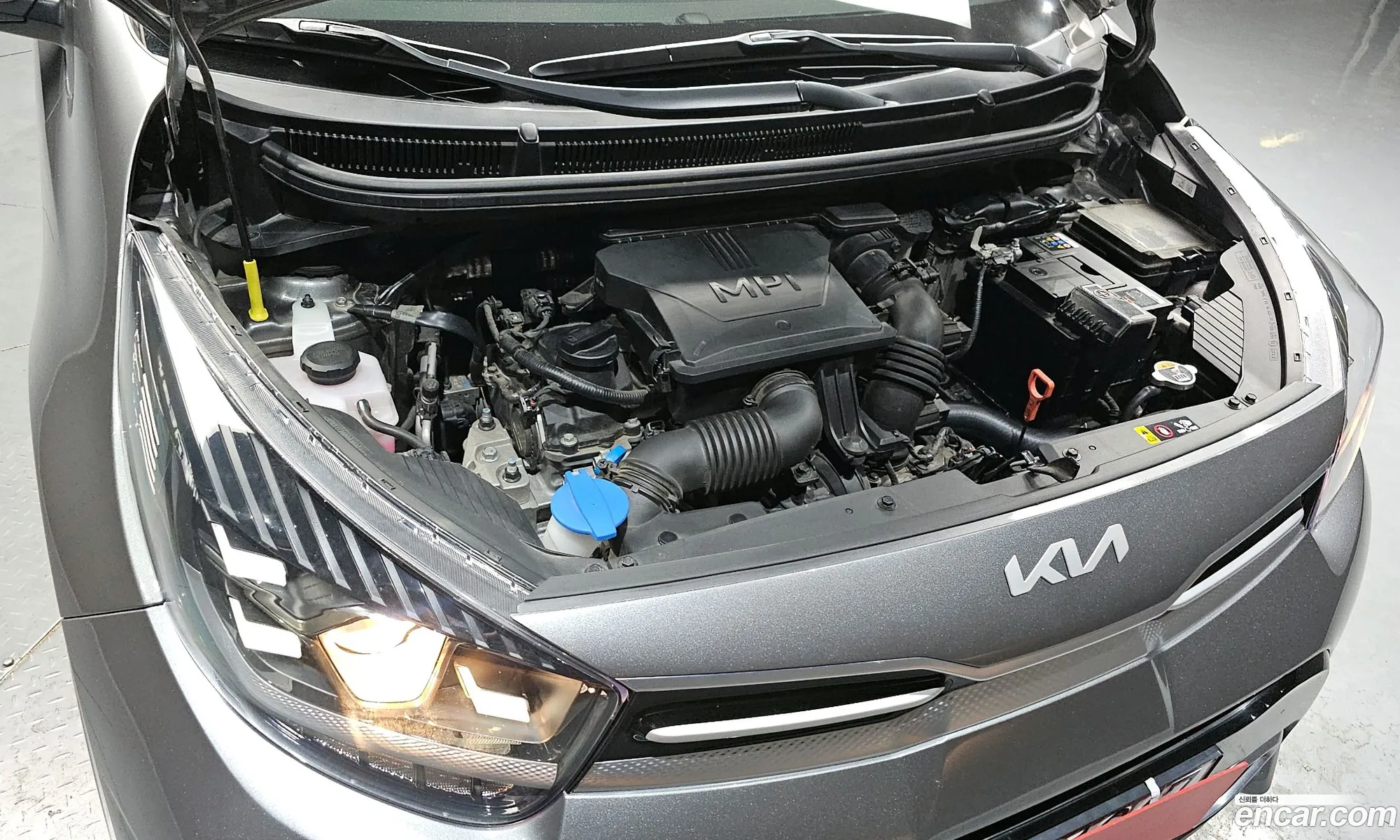 Korex Auto Trade - фотография 13604799