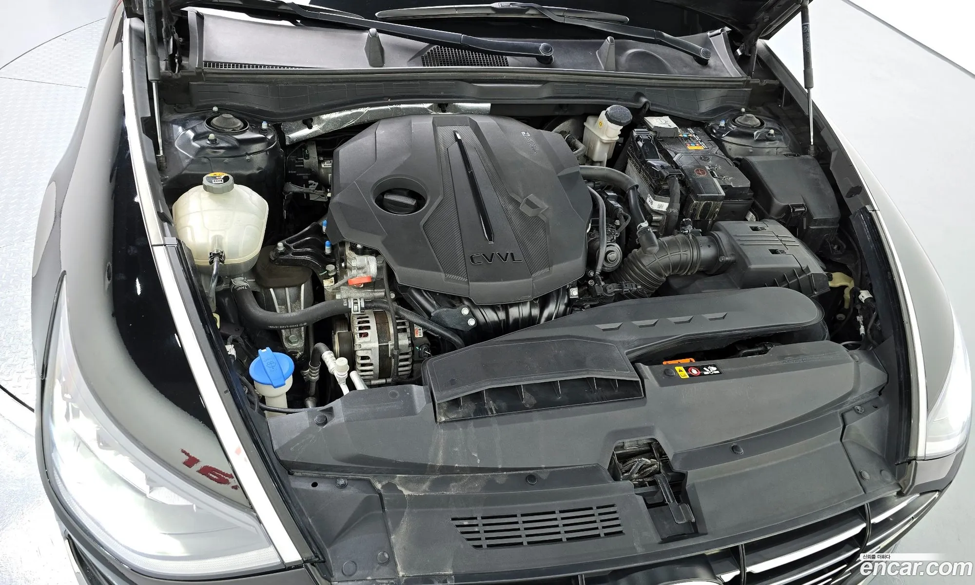 Korex Auto Trade - фотография 11474854