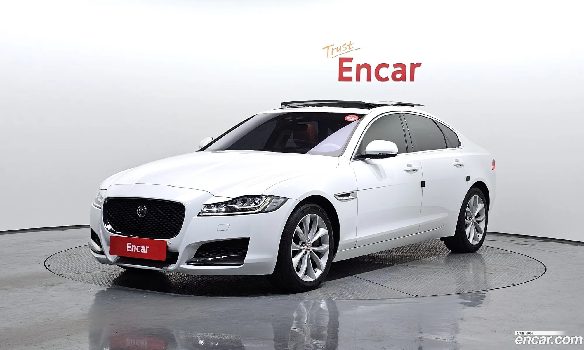 Xf X260 20D Portfolio Awd - фотография 3497049
