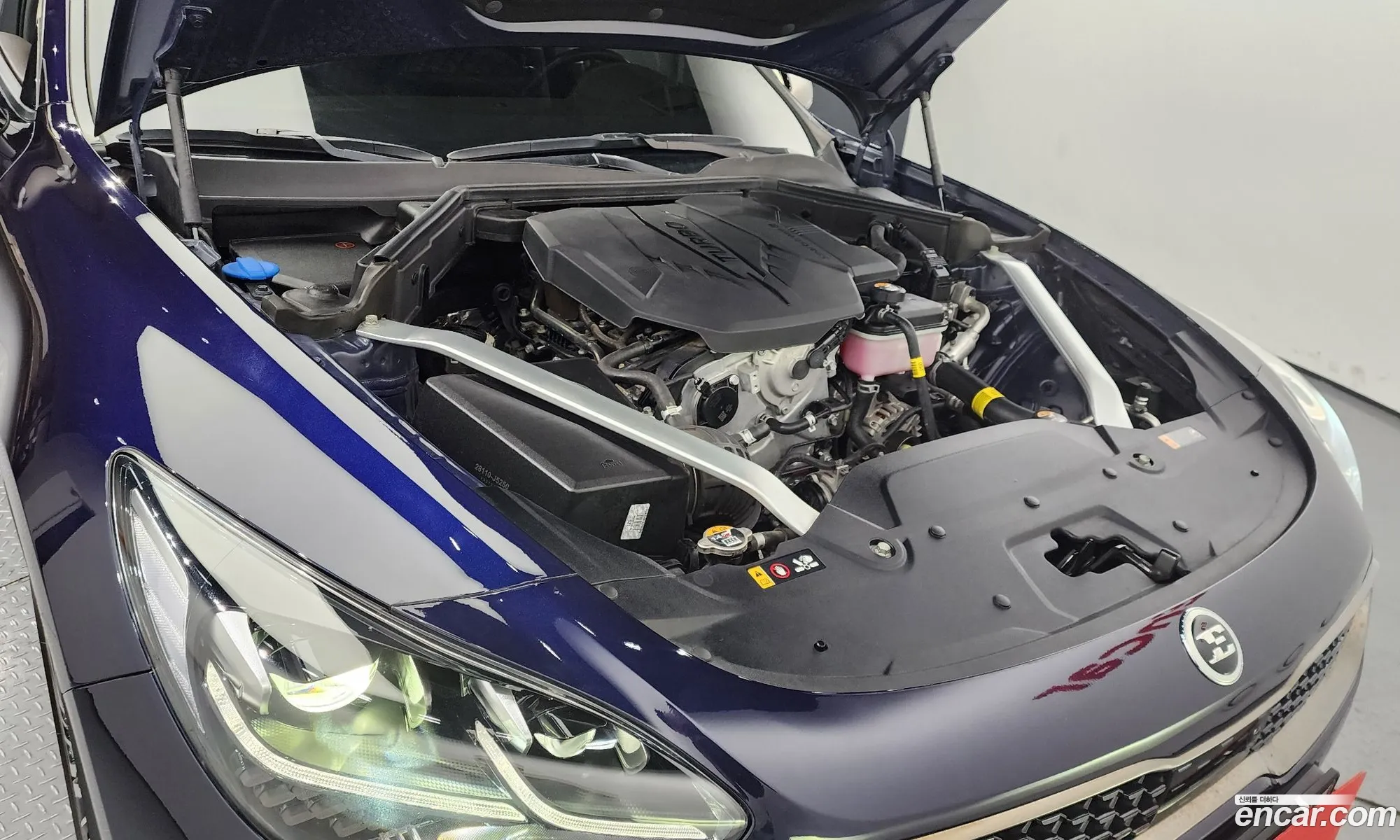 Korex Auto Trade - фотография 16206085