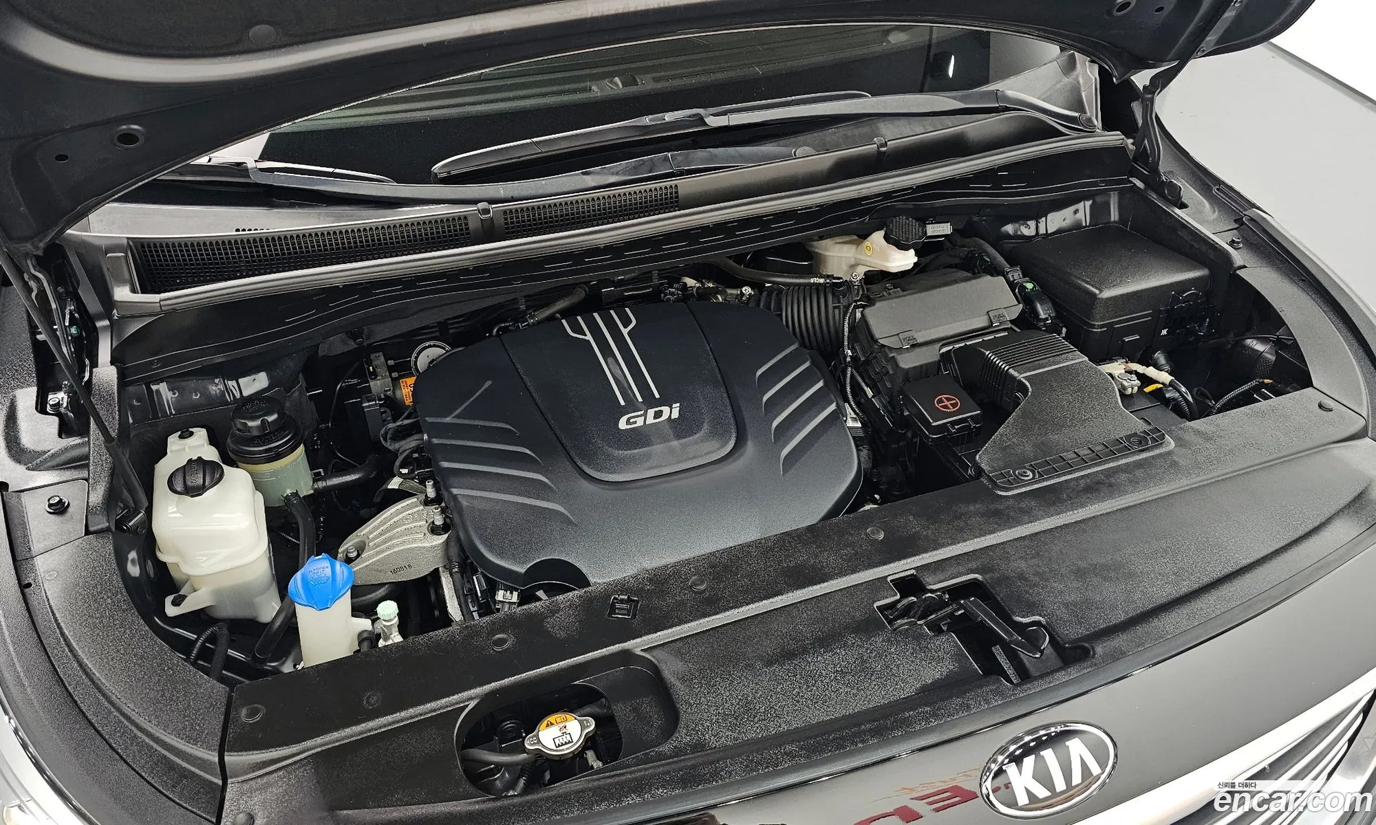 Korex Auto Trade - фотография 13696738