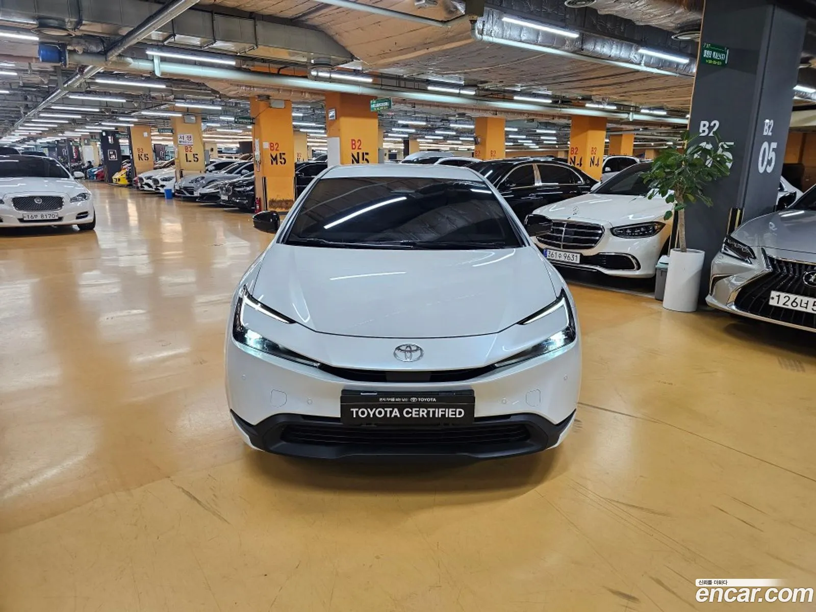 Korex Auto Trade - фотография 4411127