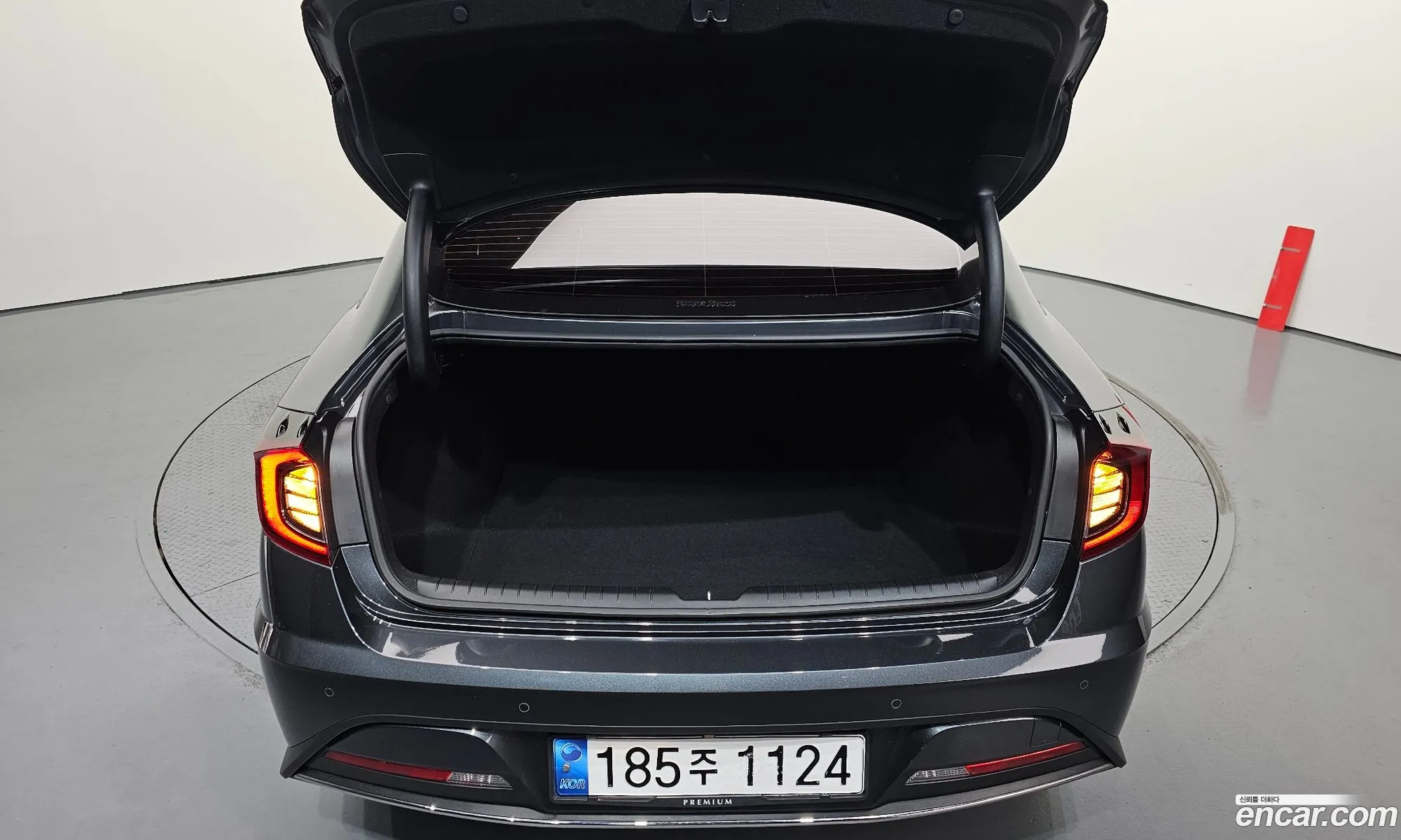 Sonata Hybrid Dn8 Premium Plus - фотография 11374431