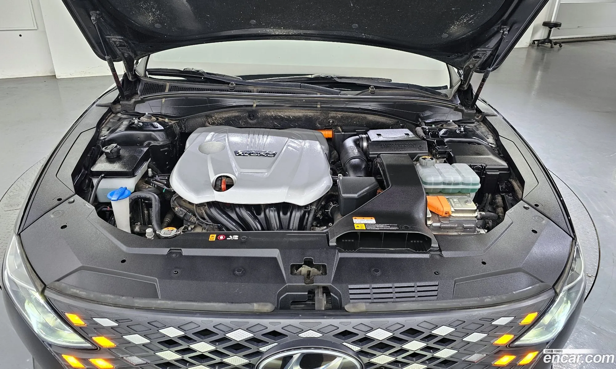 Korex Auto Trade - фотография 12273392