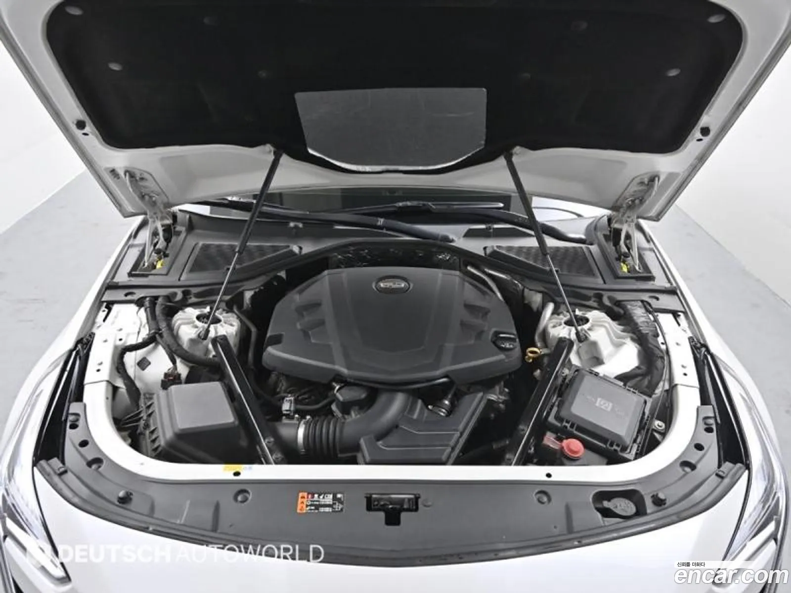 Korex Auto Trade - фотография 14525325