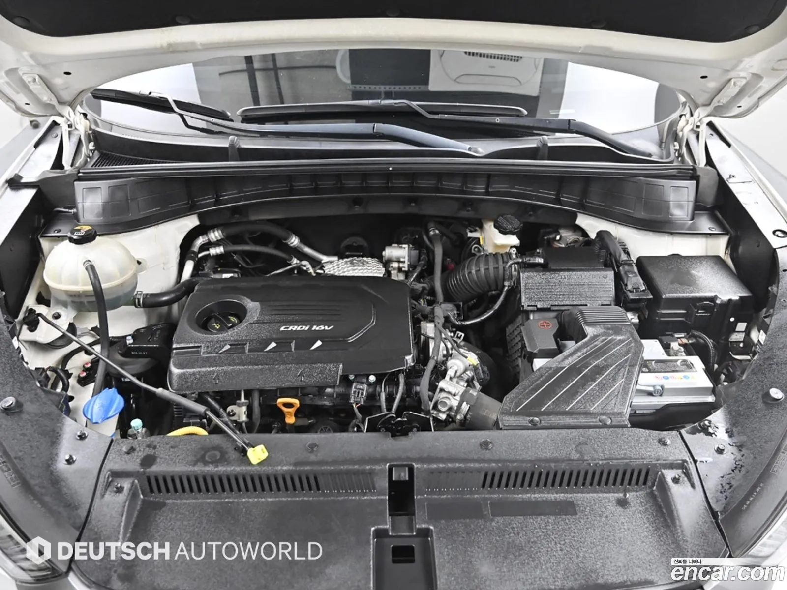 Korex Auto Trade - фотография 11229864