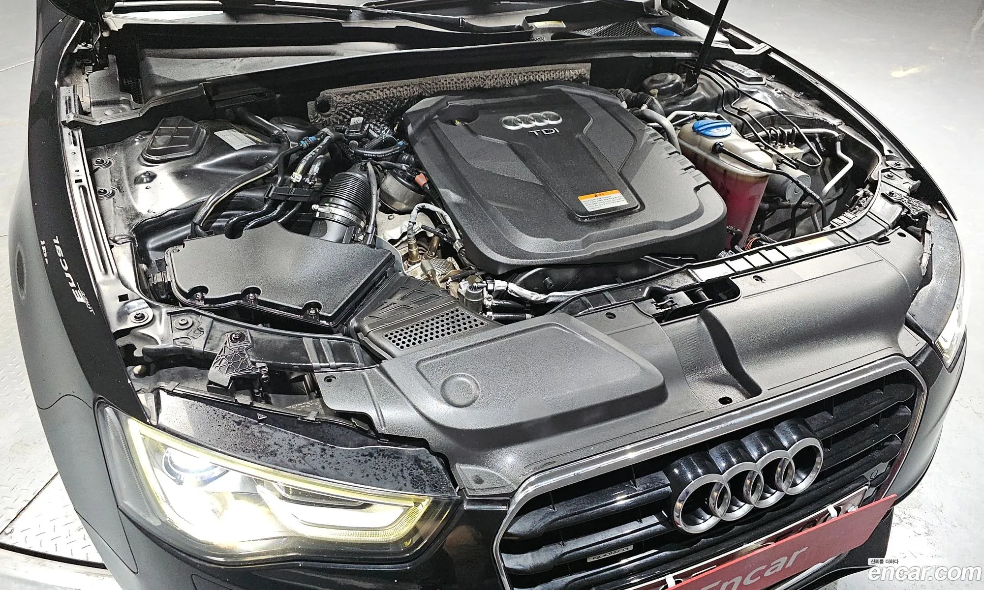 Korex Auto Trade - фотография 4739733