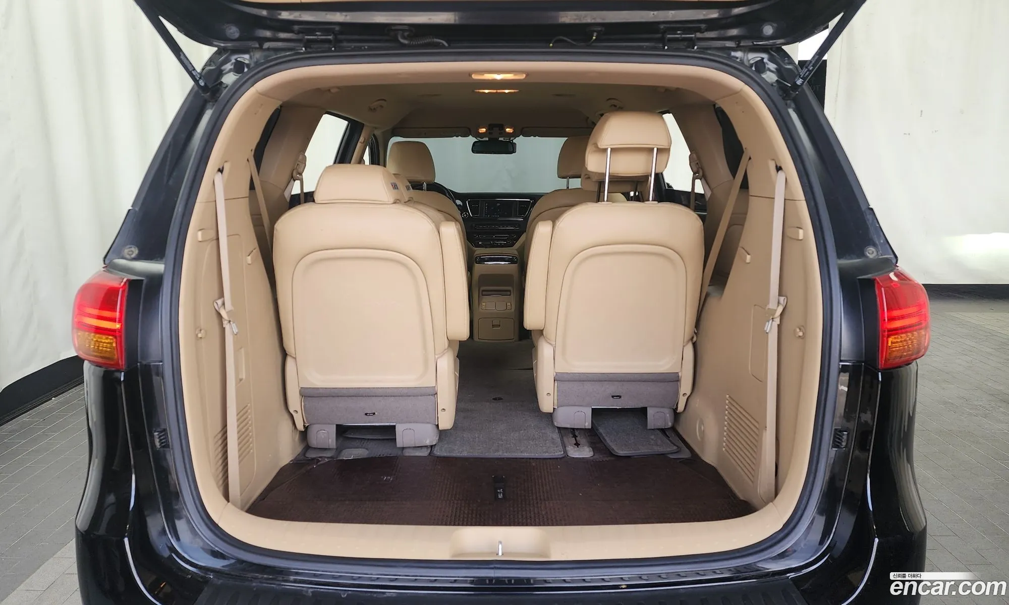 All New Carnival 9 -Seater Prestige - фотография 13653379