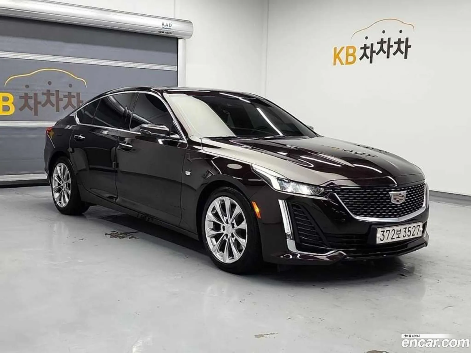 Korex Auto Trade - фотография 14552669