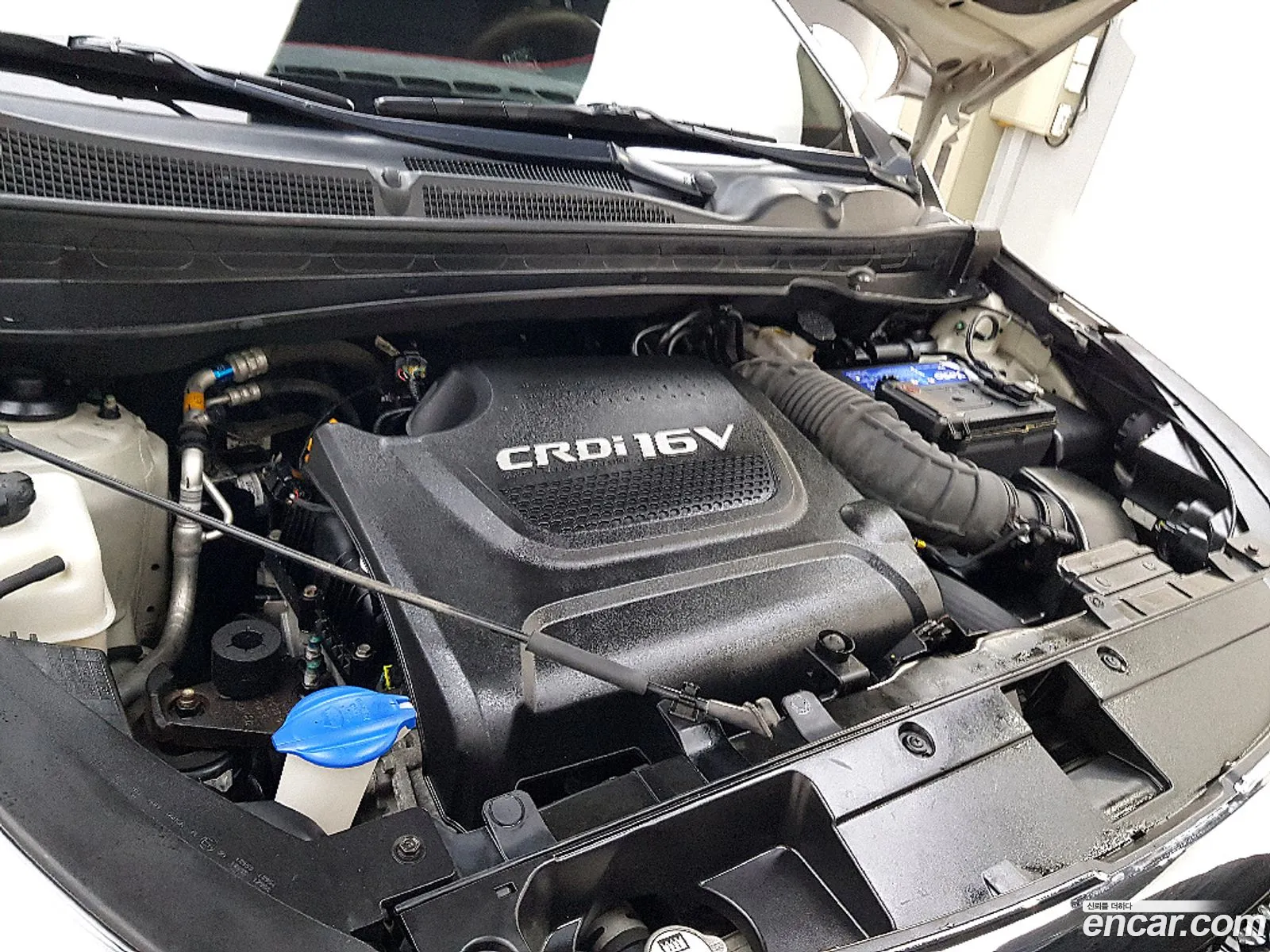 Korex Auto Trade - фотография 16203586