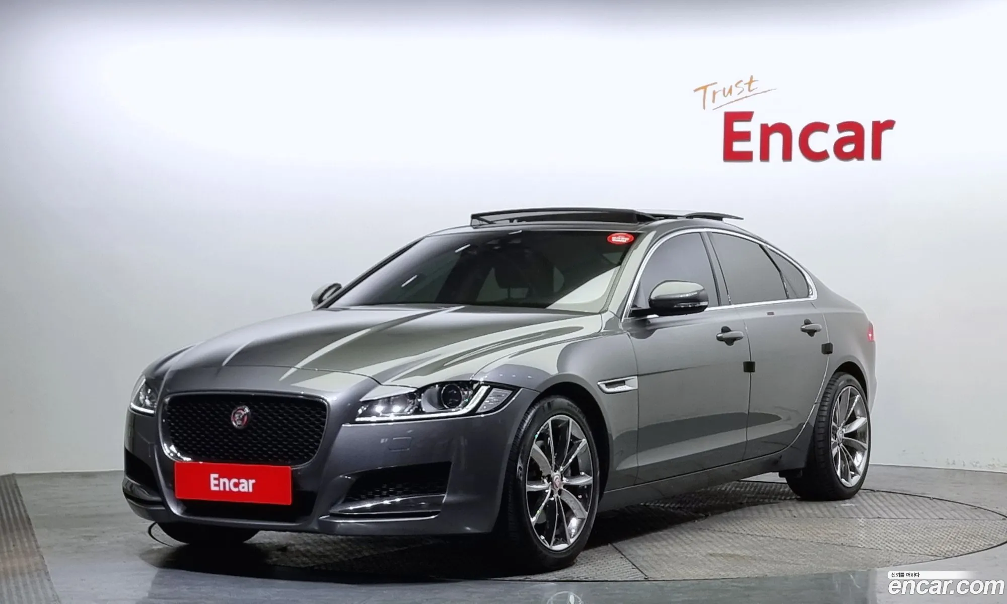 Xf X260 20D Prestige - фотография 3497987