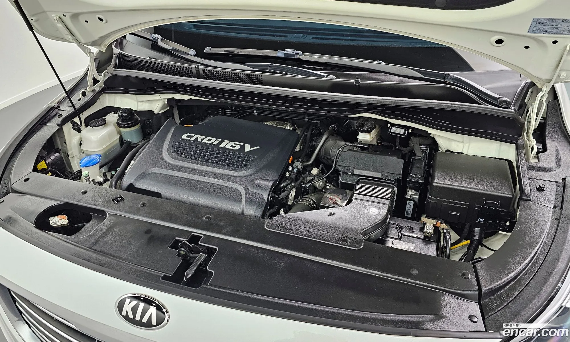 Korex Auto Trade - фотография 12667379