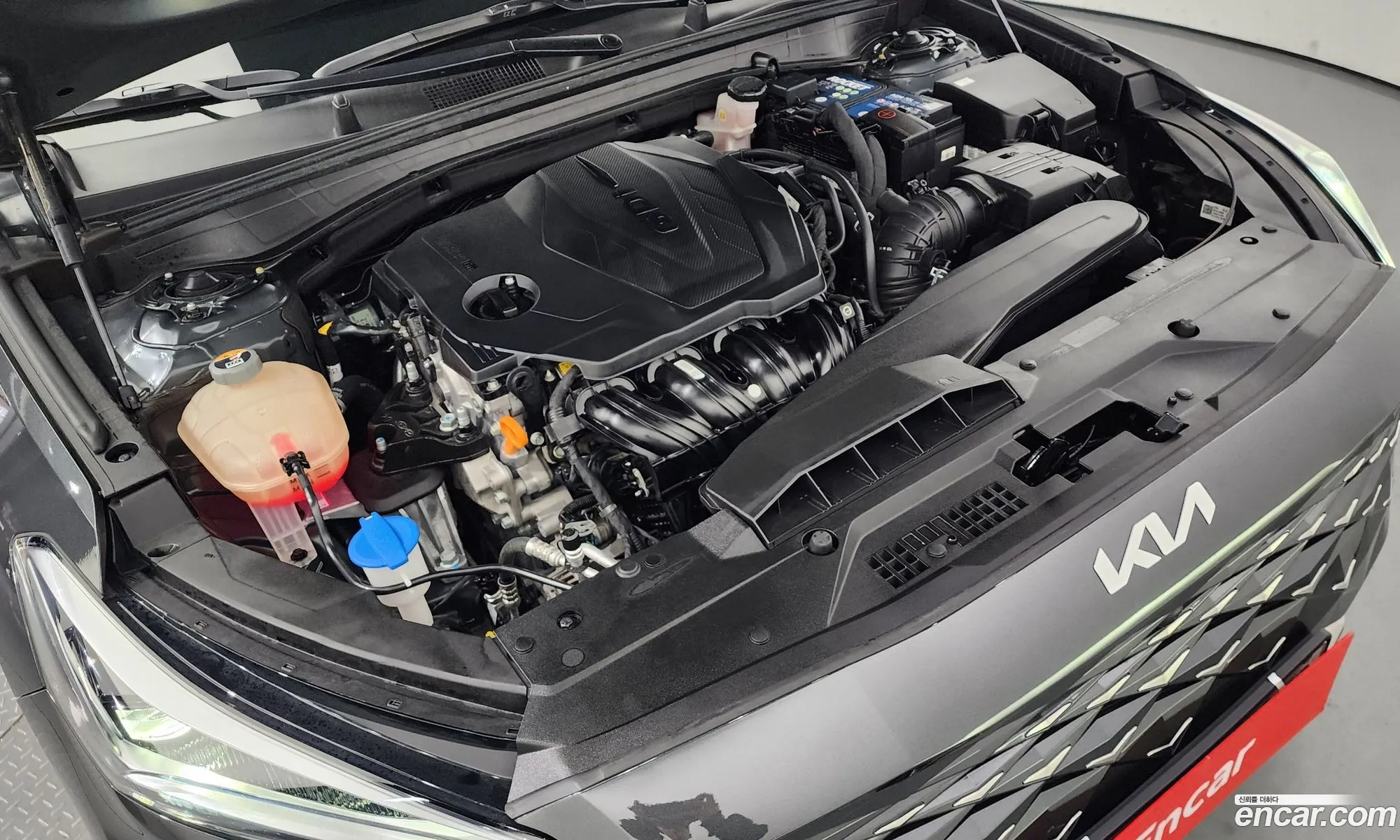 Korex Auto Trade - фотография 11843077