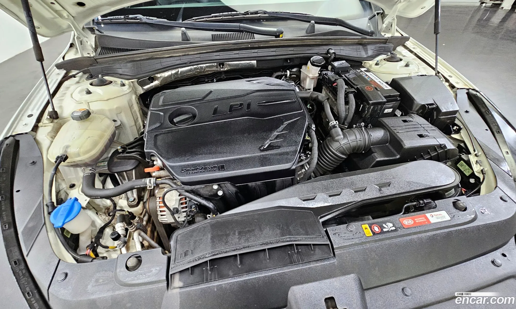 Korex Auto Trade - фотография 12389655