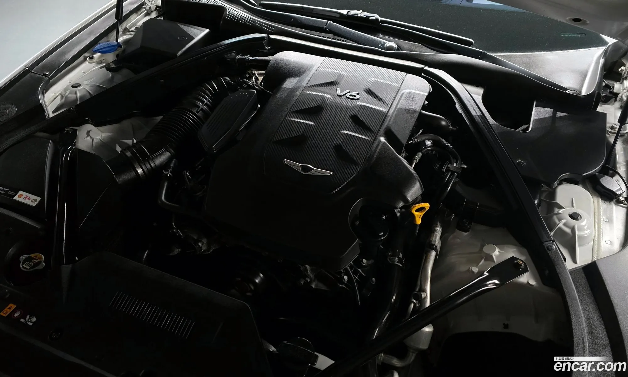 Korex Auto Trade - фотография 12652232