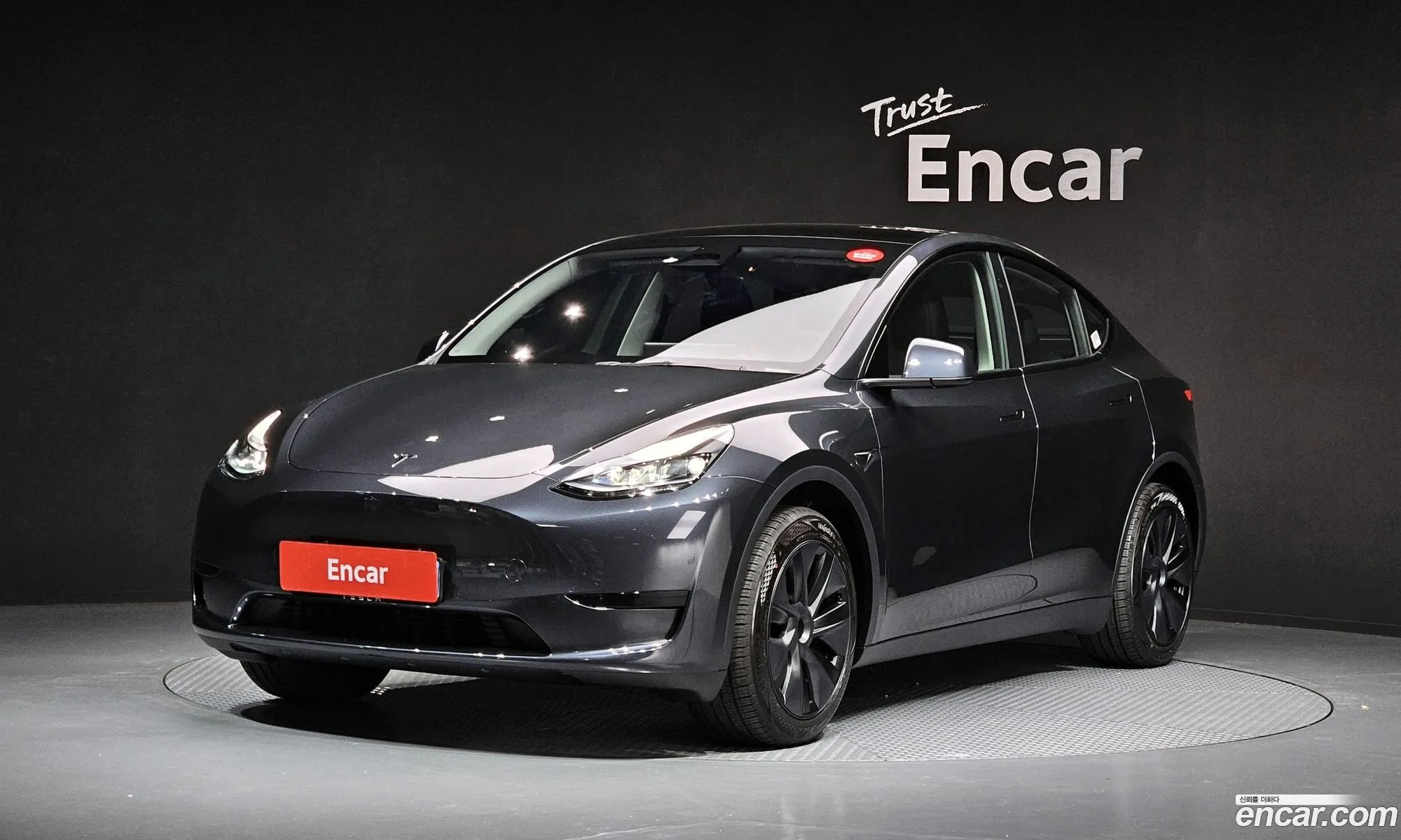 Model Y Rwd - фотография 3509806
