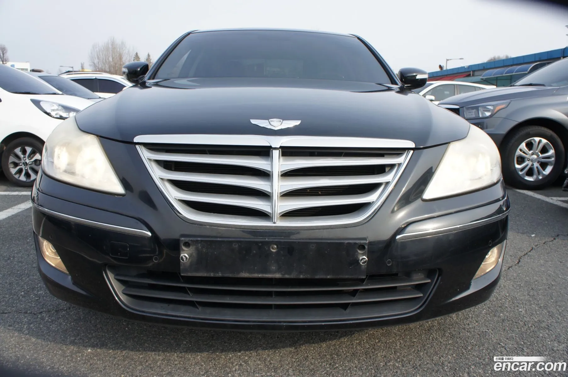 Genesis Bh330 Luxury Basic Type - фотография 11826267