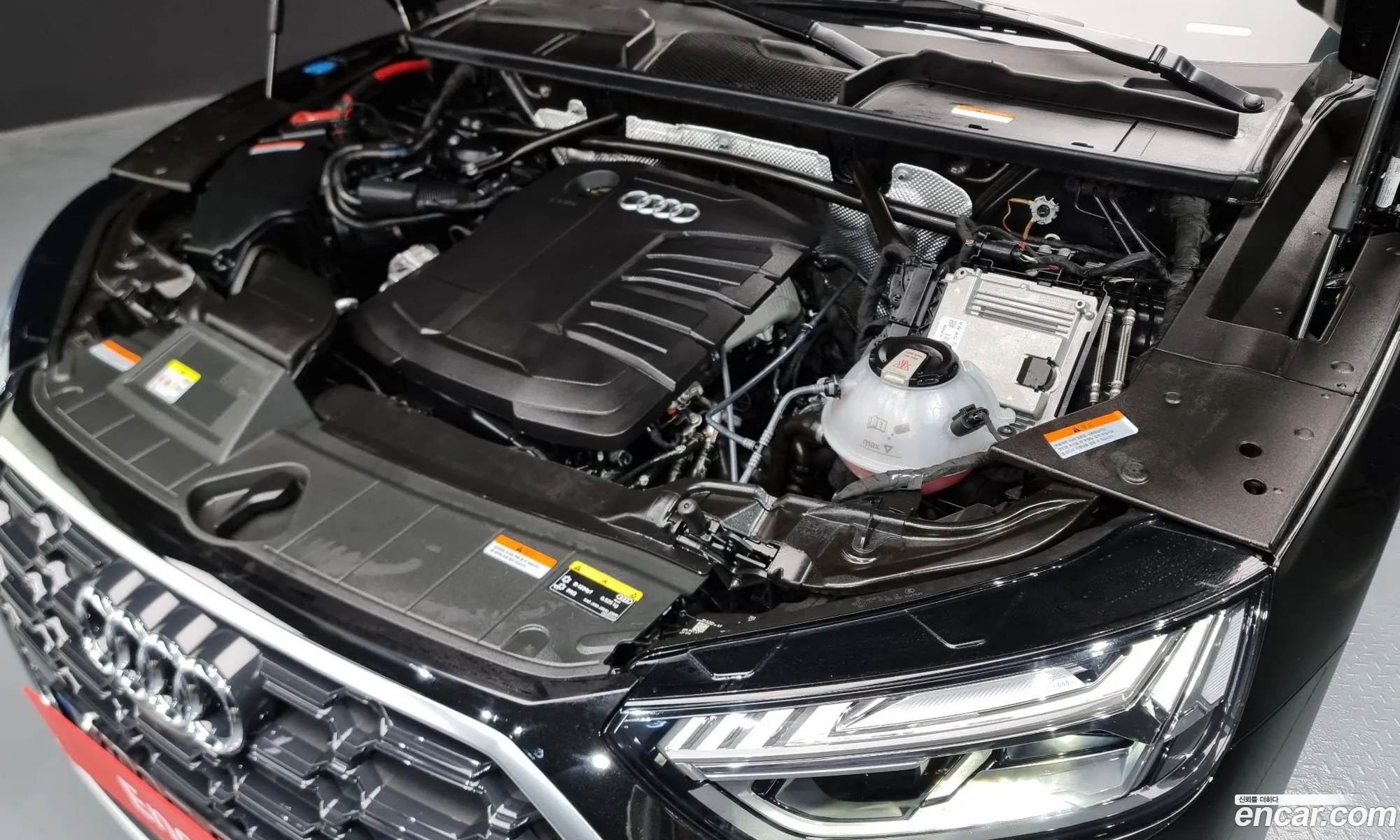 Korex Auto Trade - фотография 4624872