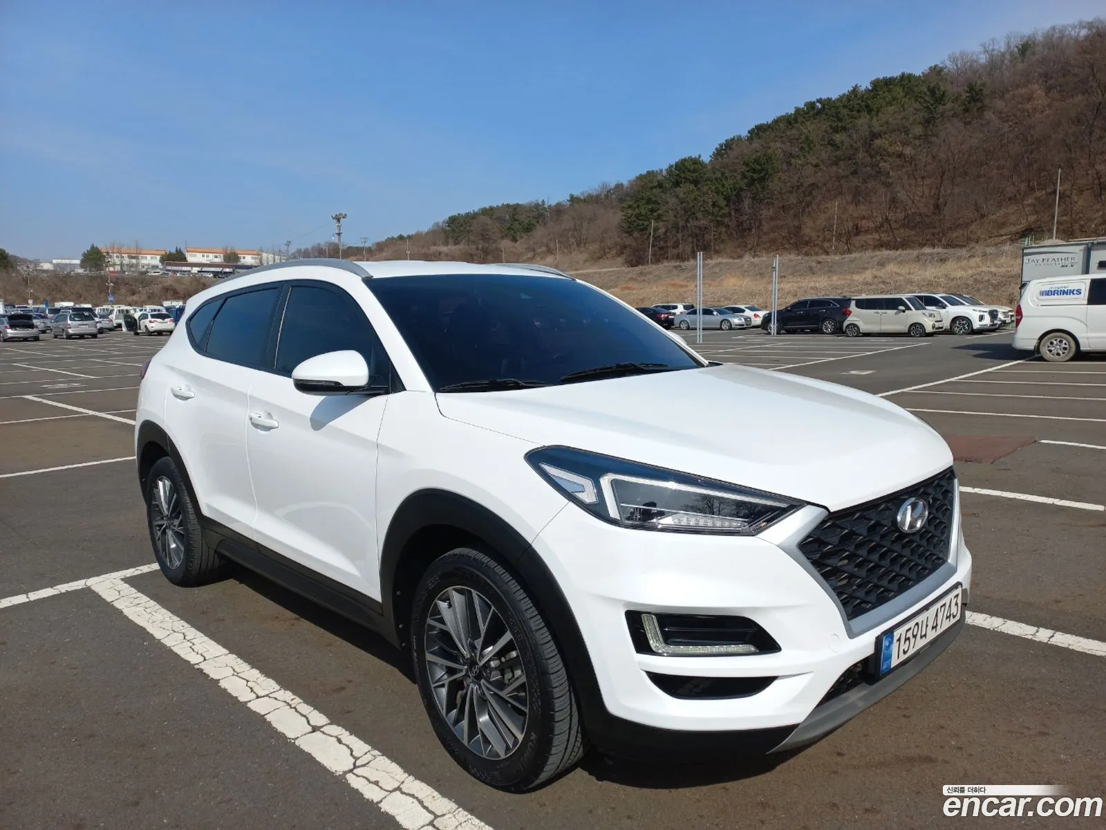 Korex Auto Trade - фотография 14106775
