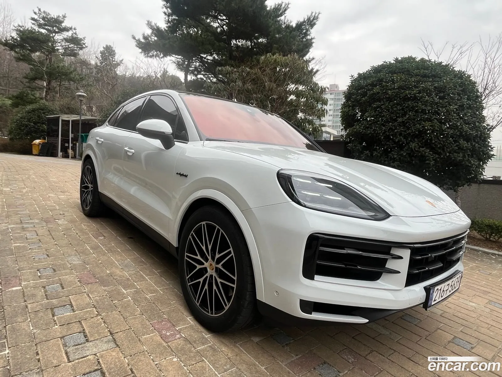 Cayenne Po536 30 E-Hybrid Coupe - фотография 4458847