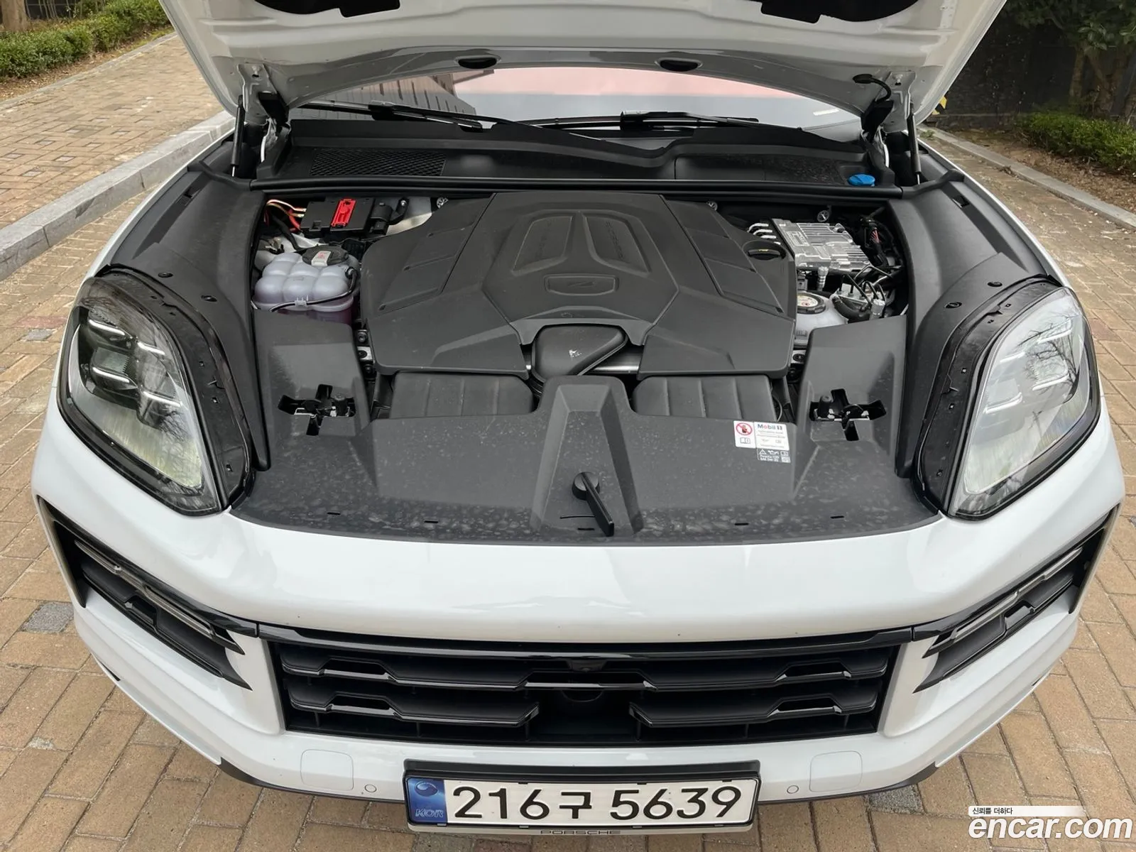 Korex Auto Trade - фотография 4543659