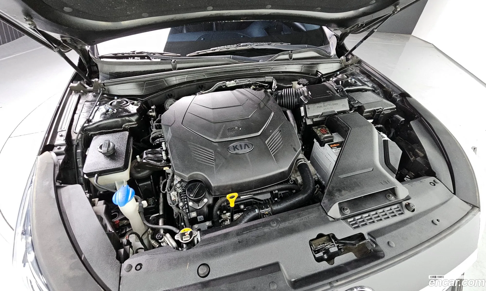 Korex Auto Trade - фотография 14500515