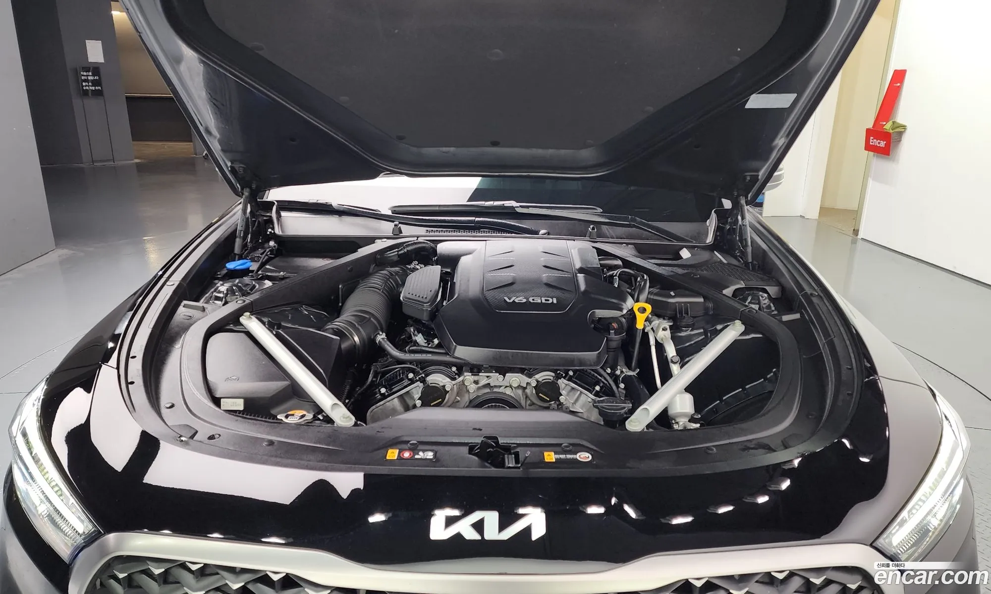 Korex Auto Trade - фотография 11979629