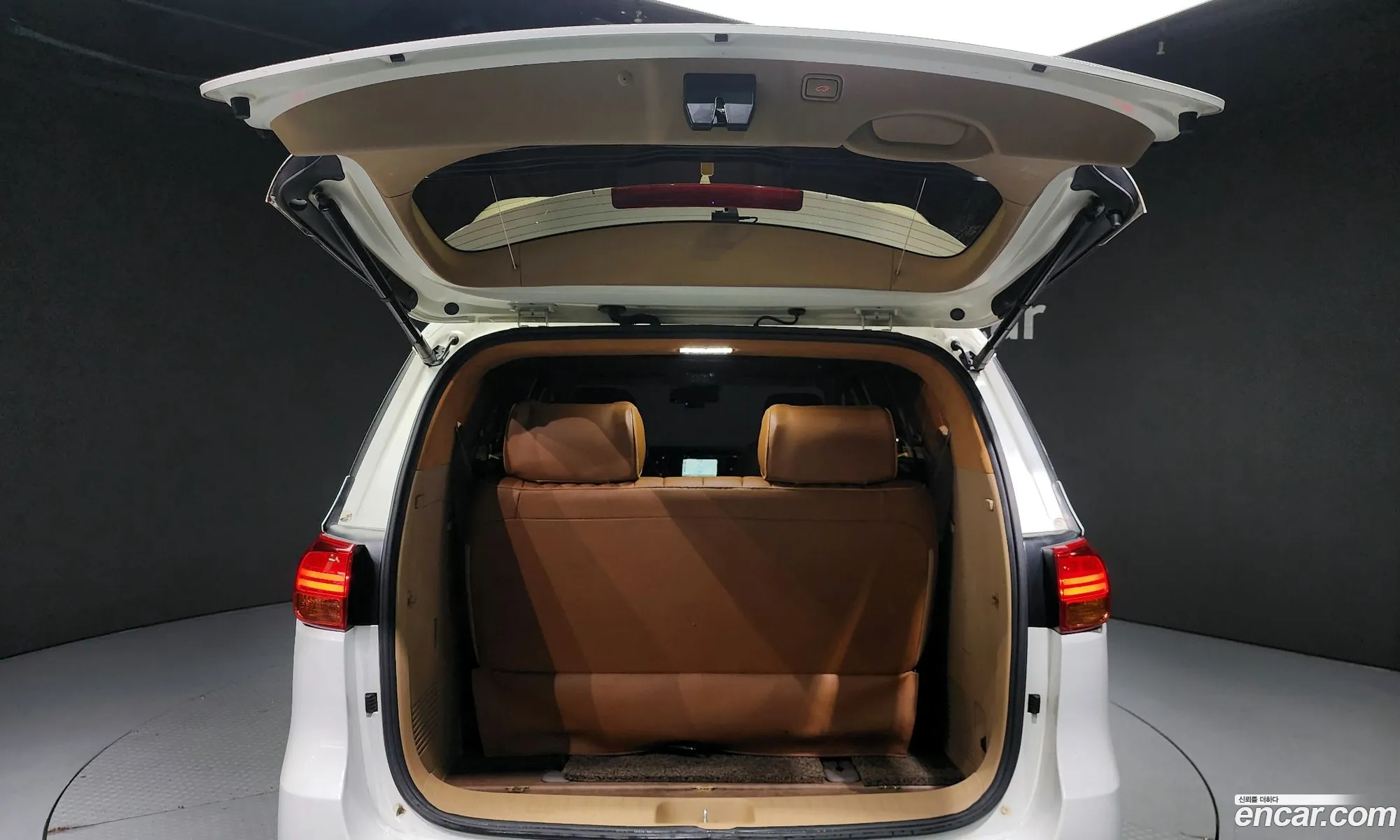 All -New Carnival 9 -Seater High Limousine Noblesse - фотография 13485505