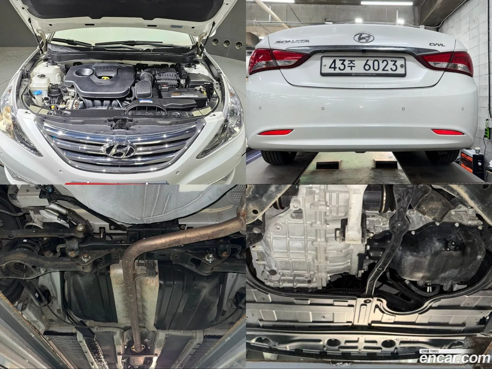 Korex Auto Trade - фотография 11427766