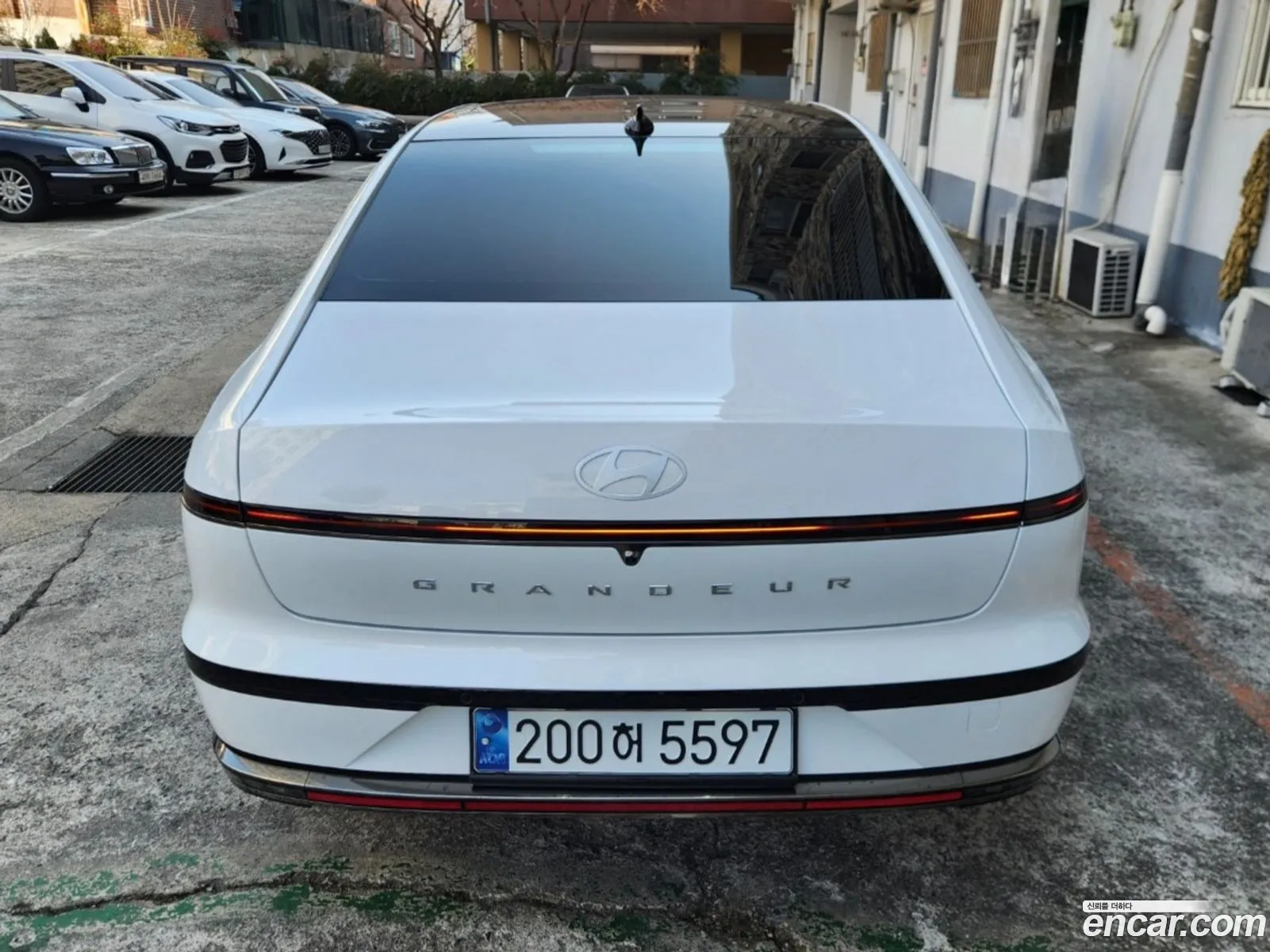Korex Auto Trade - фотография 1531870