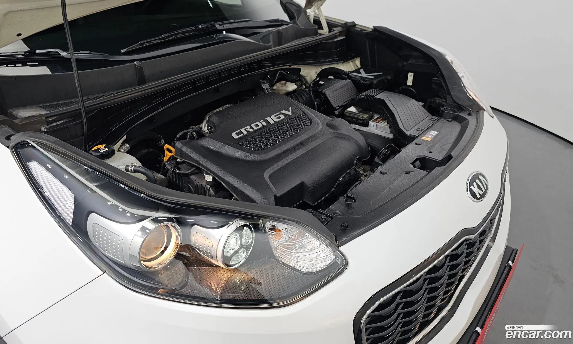 Korex Auto Trade - фотография 14022984