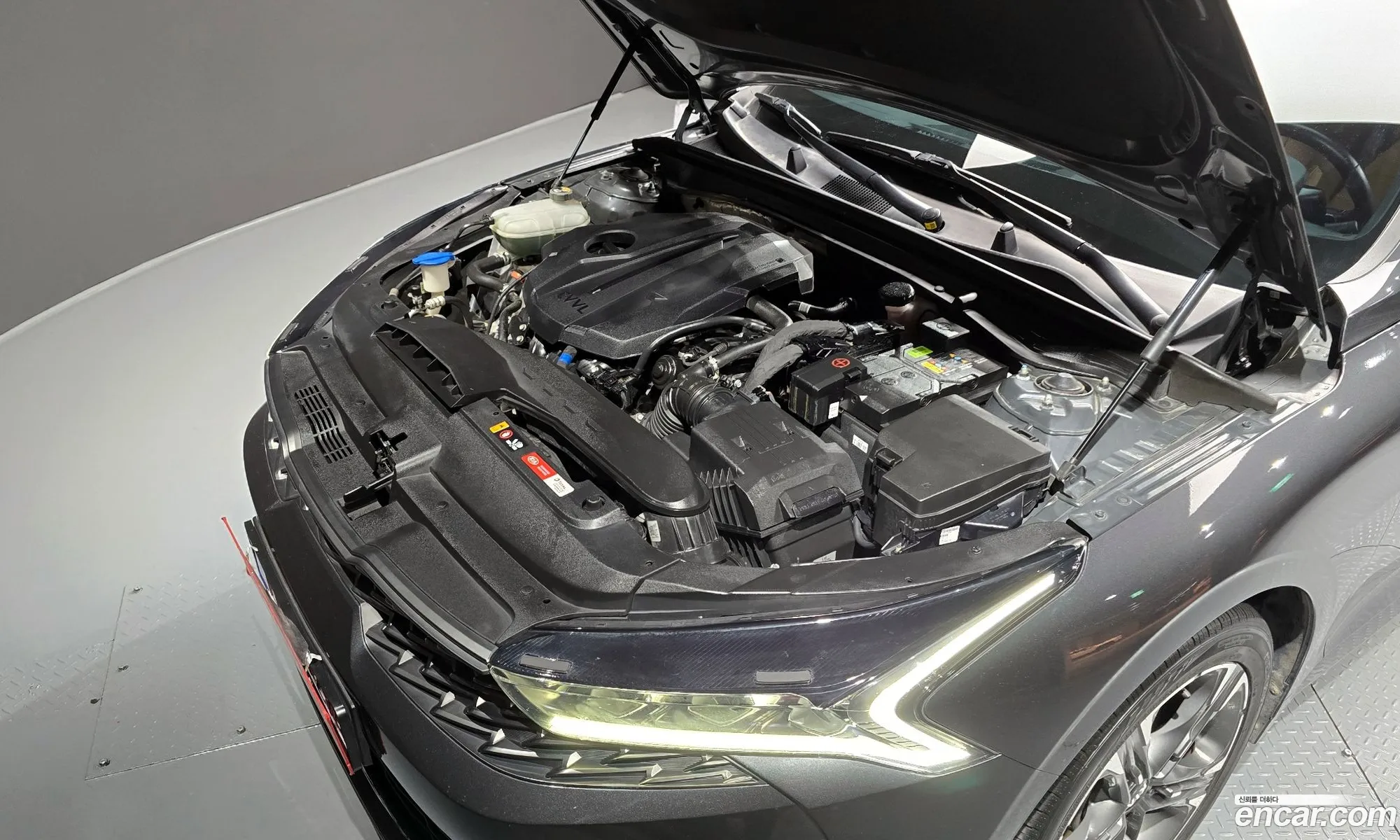 Korex Auto Trade - фотография 12732501