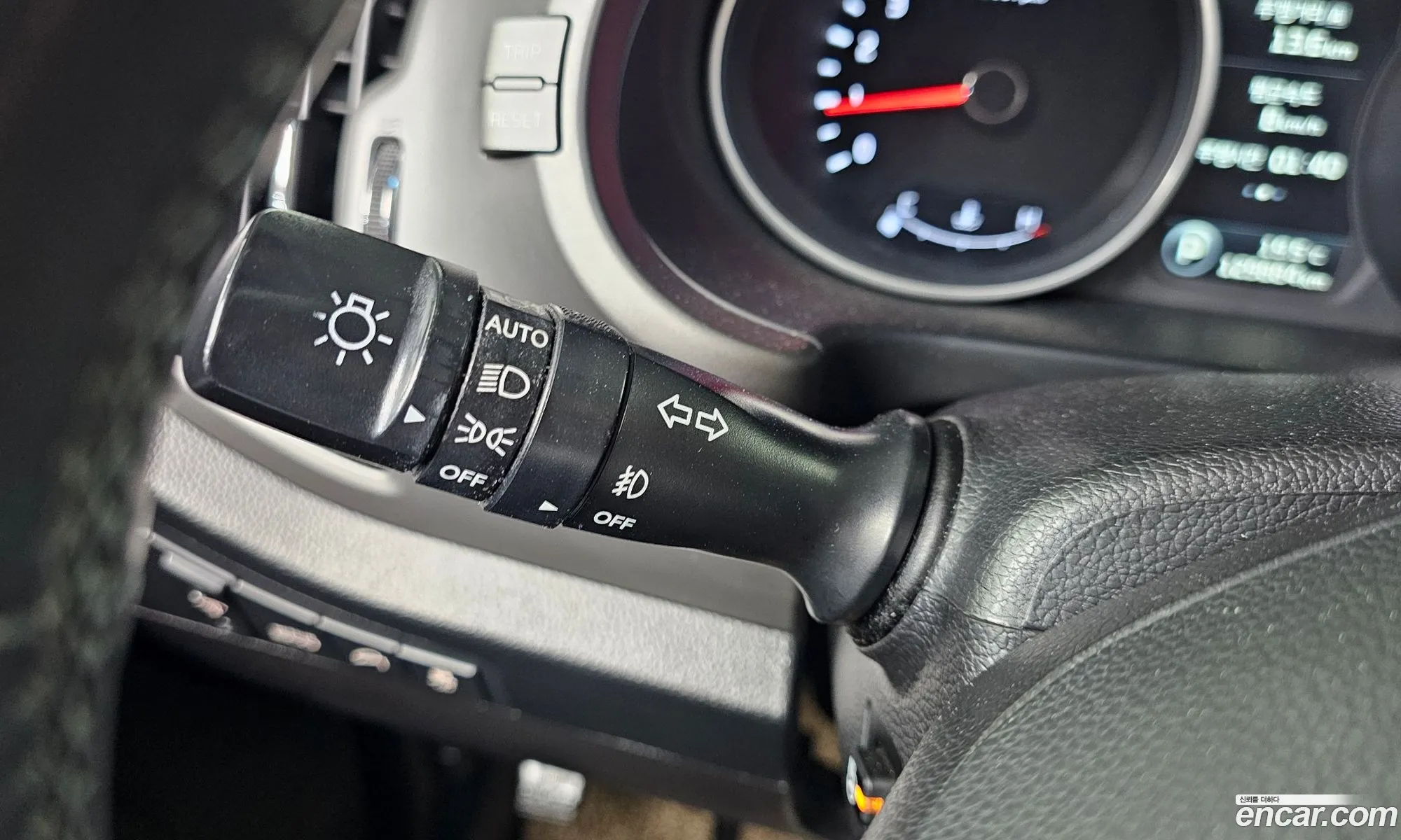 Korex Auto Trade - фотография 12579572