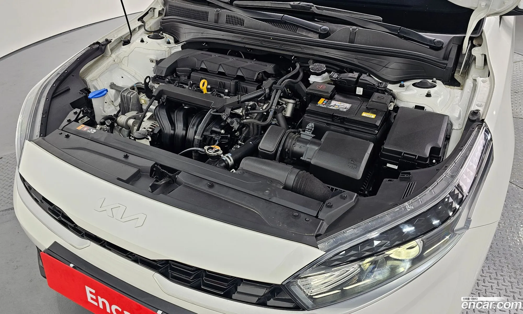 Korex Auto Trade - фотография 11367036