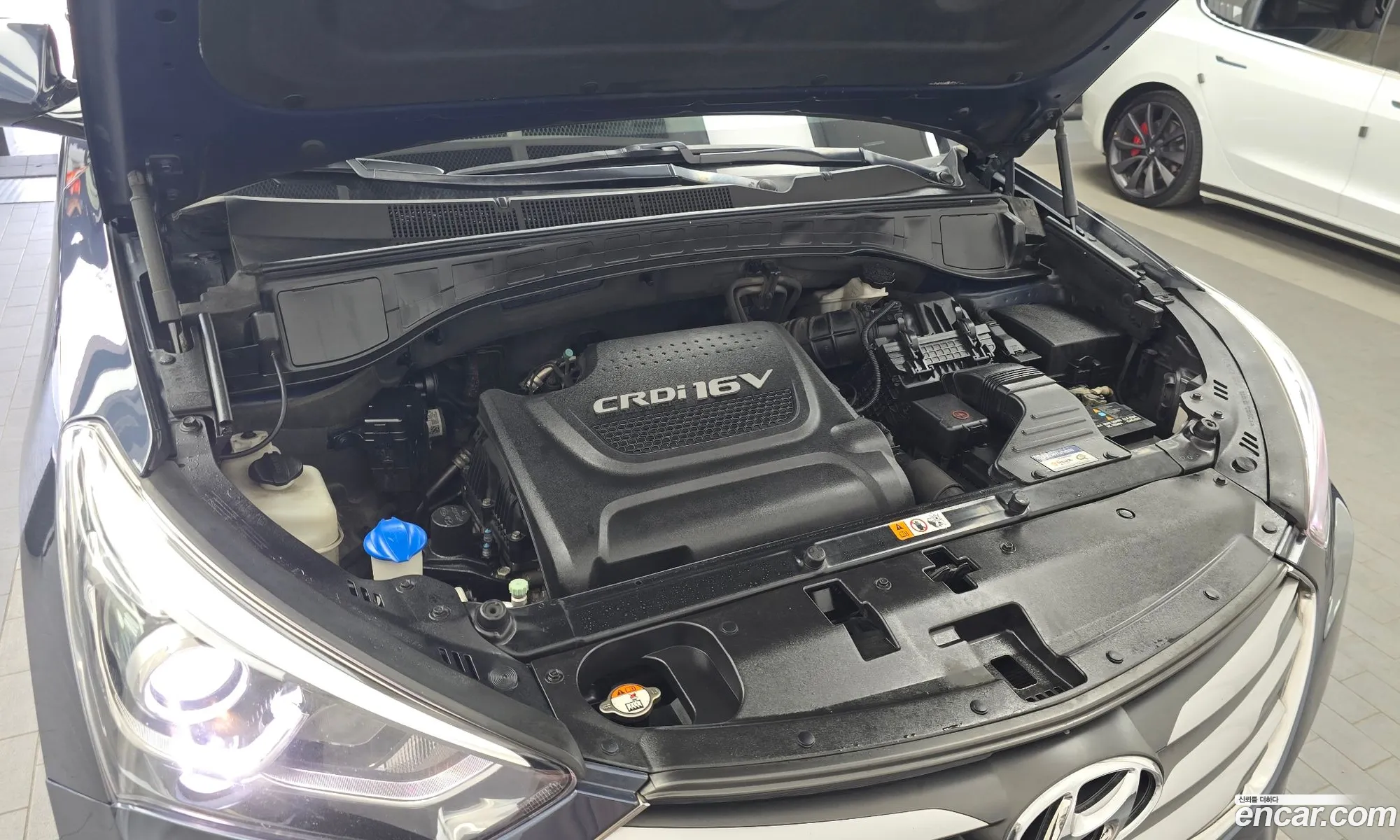 Korex Auto Trade - фотография 11607872