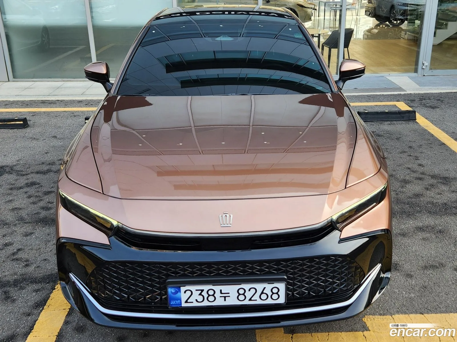 Korex Auto Trade - фотография 13579383