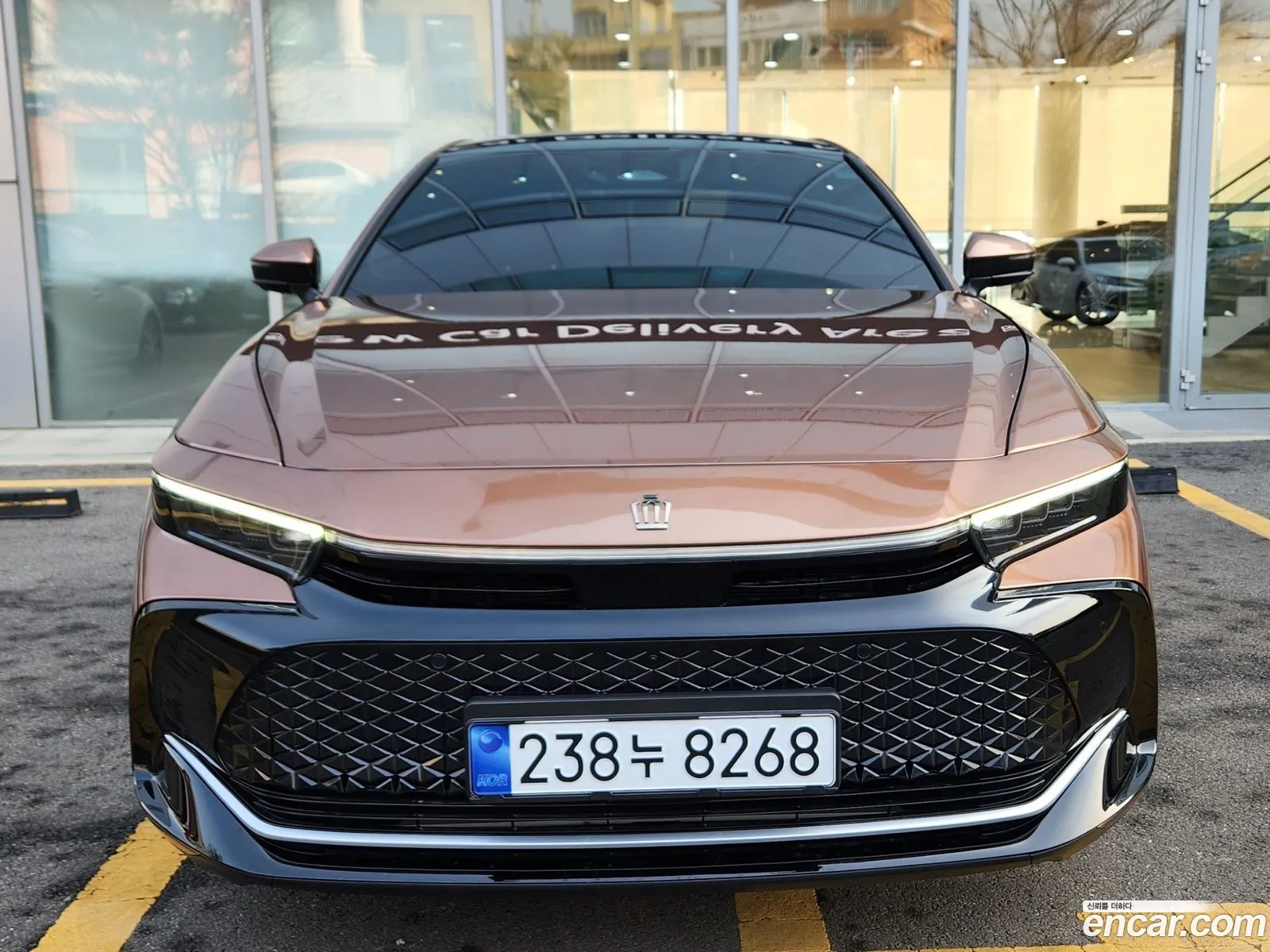 Korex Auto Trade - фотография 13579382