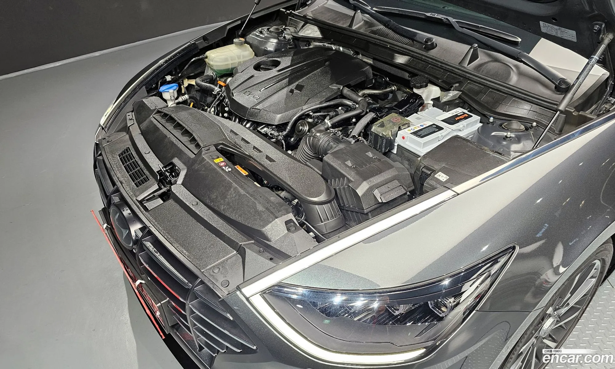 Korex Auto Trade - фотография 11353367
