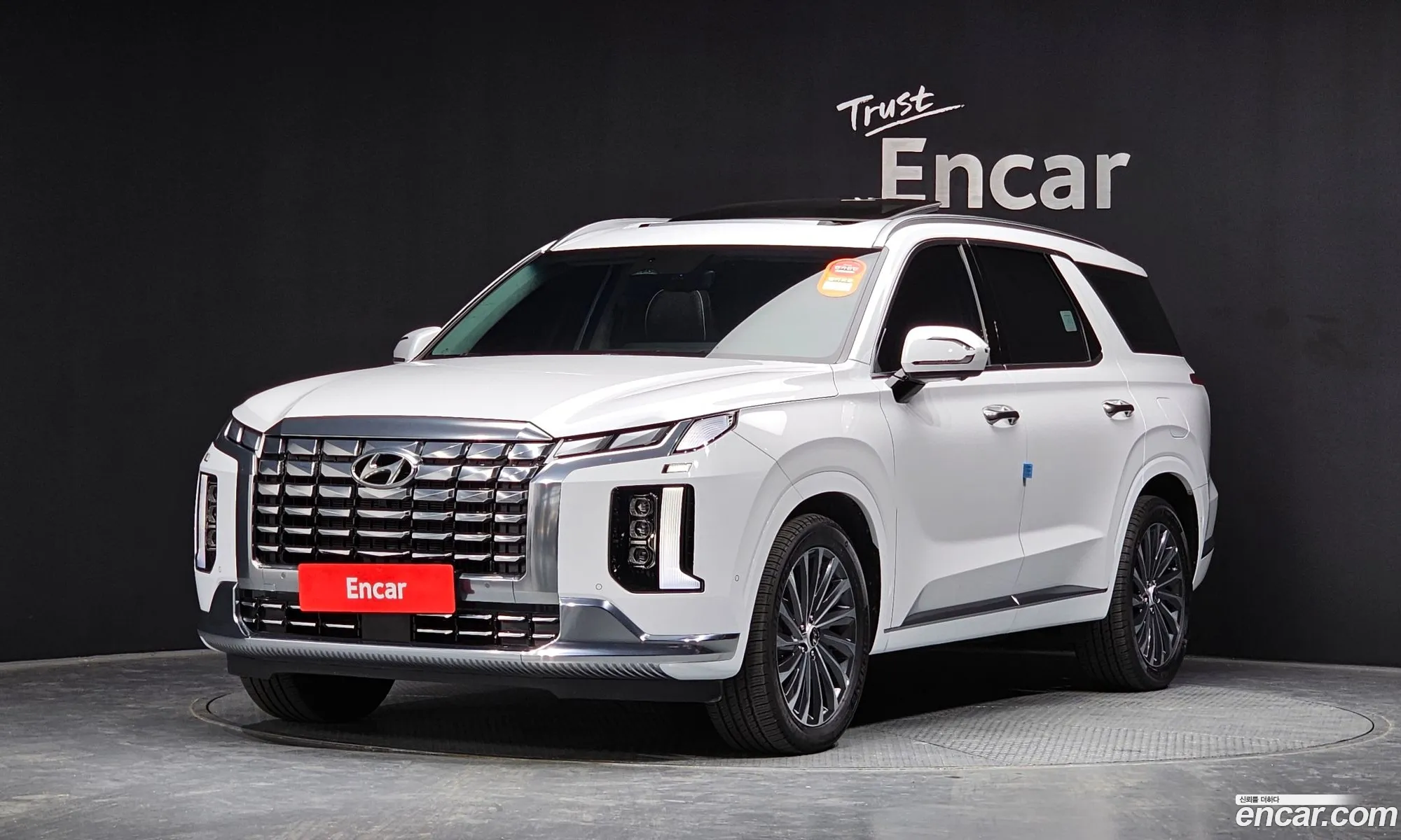 The New Palisade Diesel 22 4Wd Calligraphy - фотография 14008973