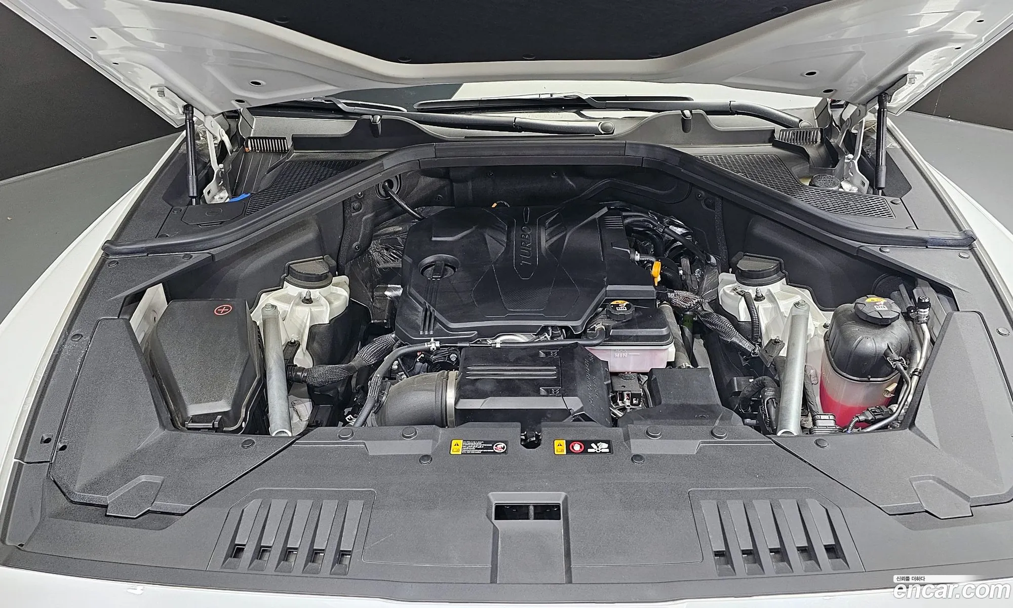 Korex Auto Trade - фотография 12573462