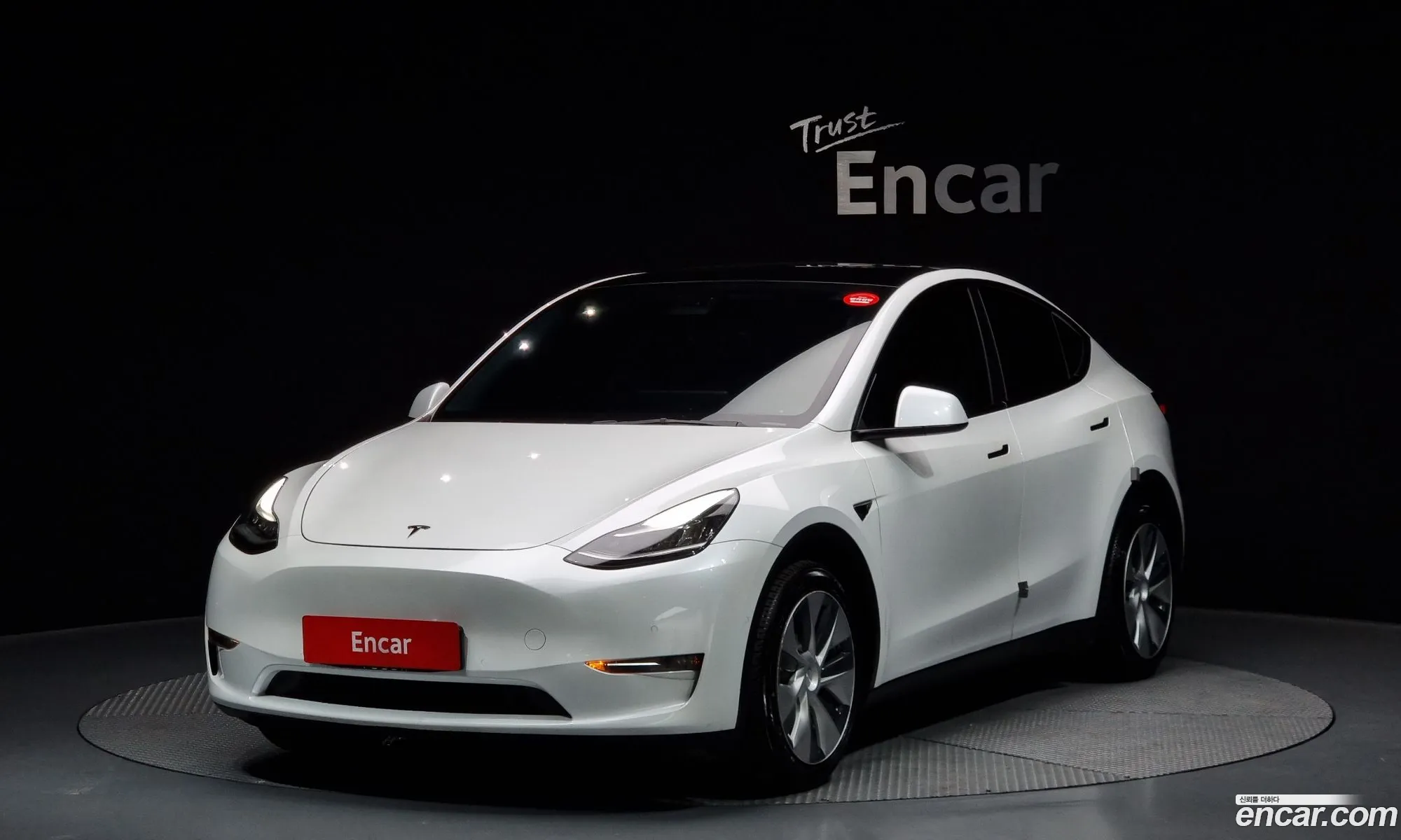 Model Y Long Range - фотография 3509794