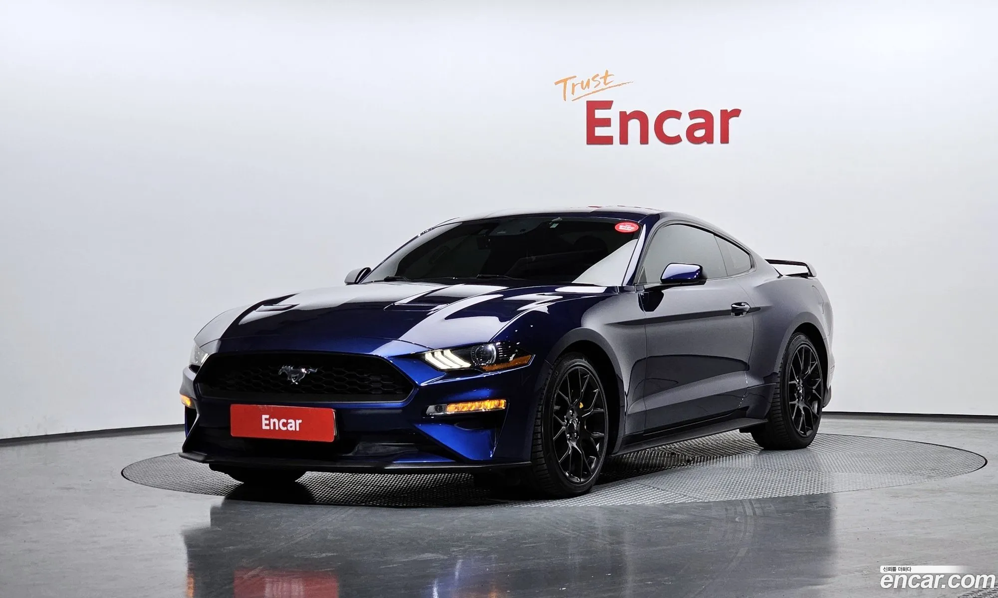 Mustang Coupe - фотография 3509960