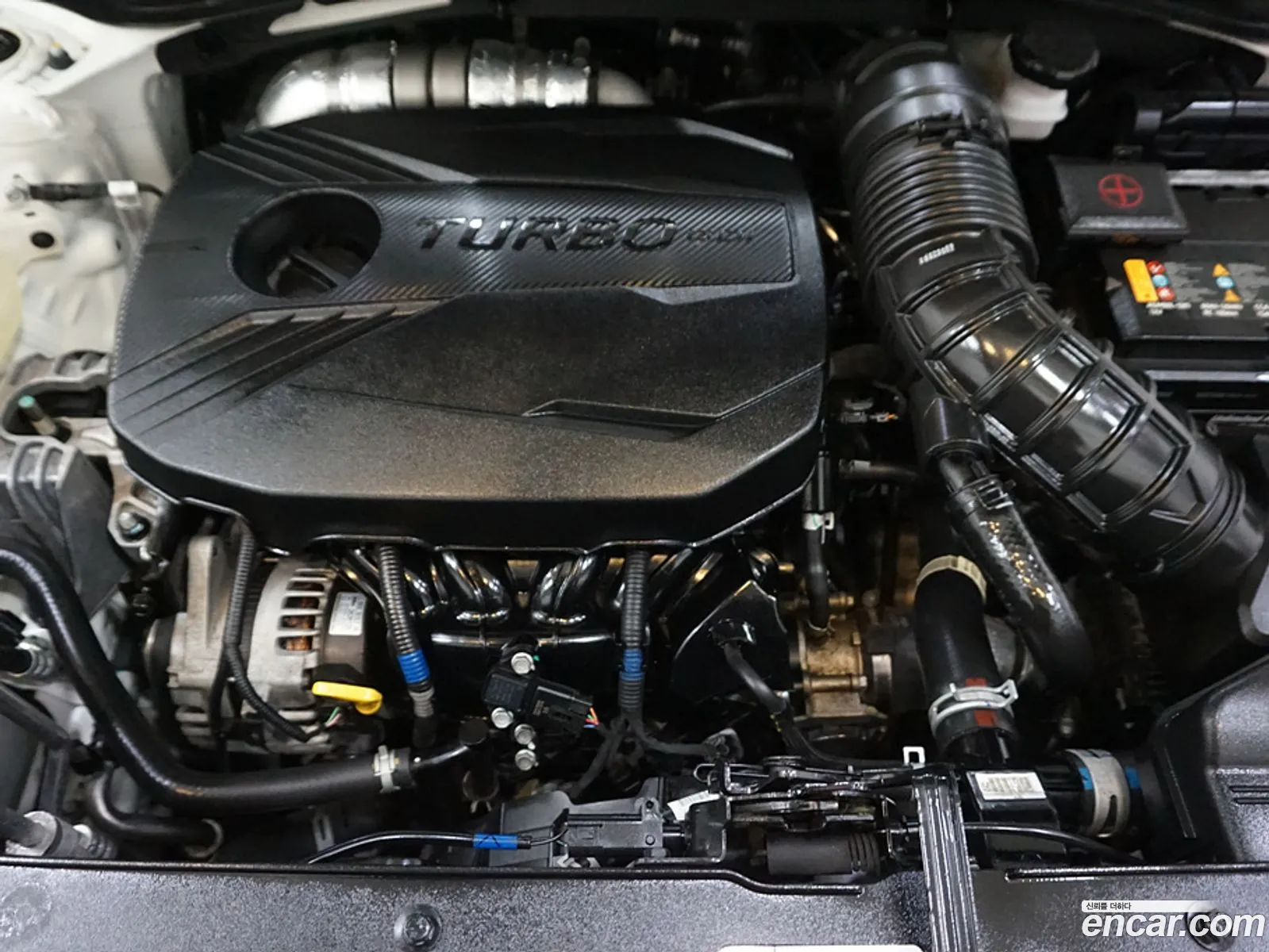 Korex Auto Trade - фотография 15742051