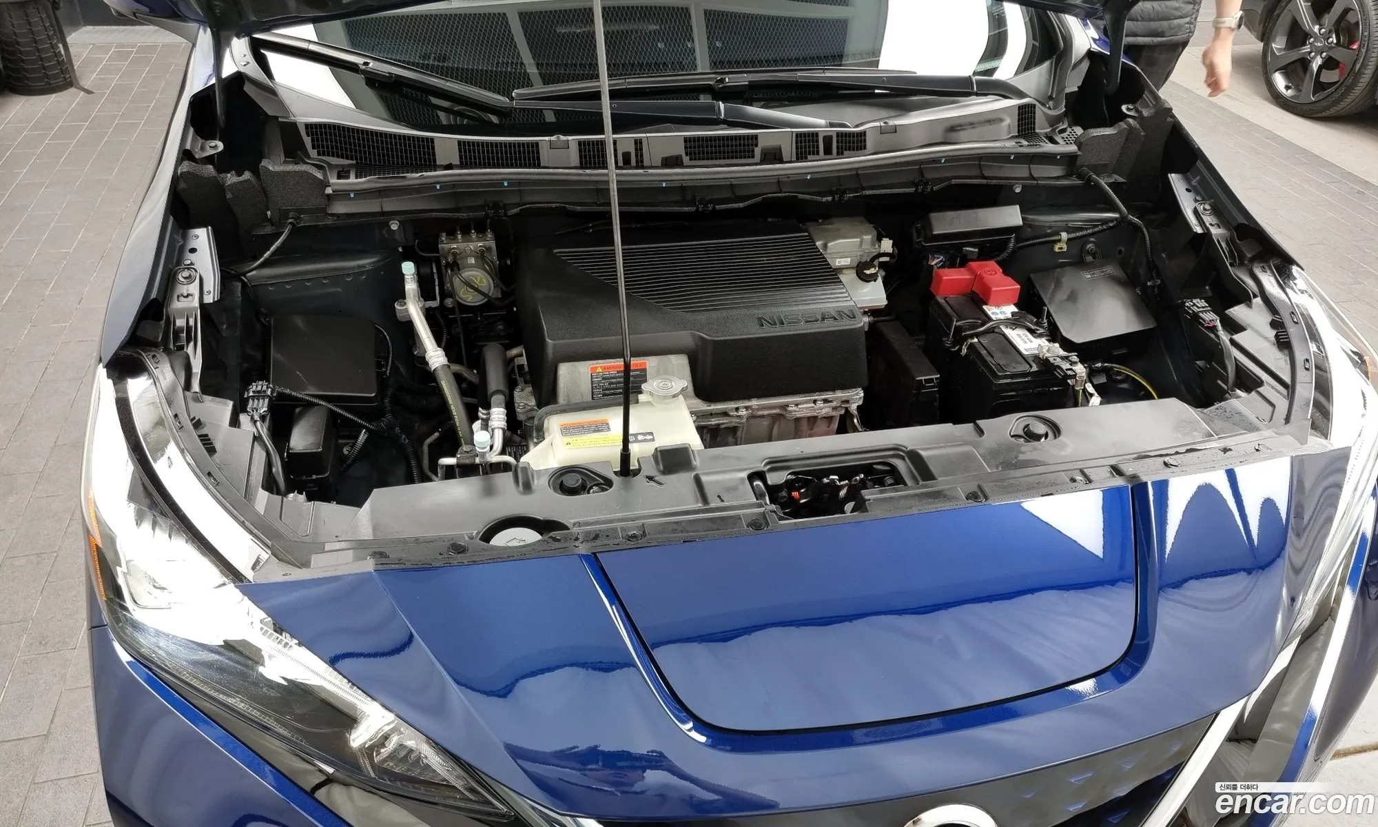 Korex Auto Trade - фотография 2964428